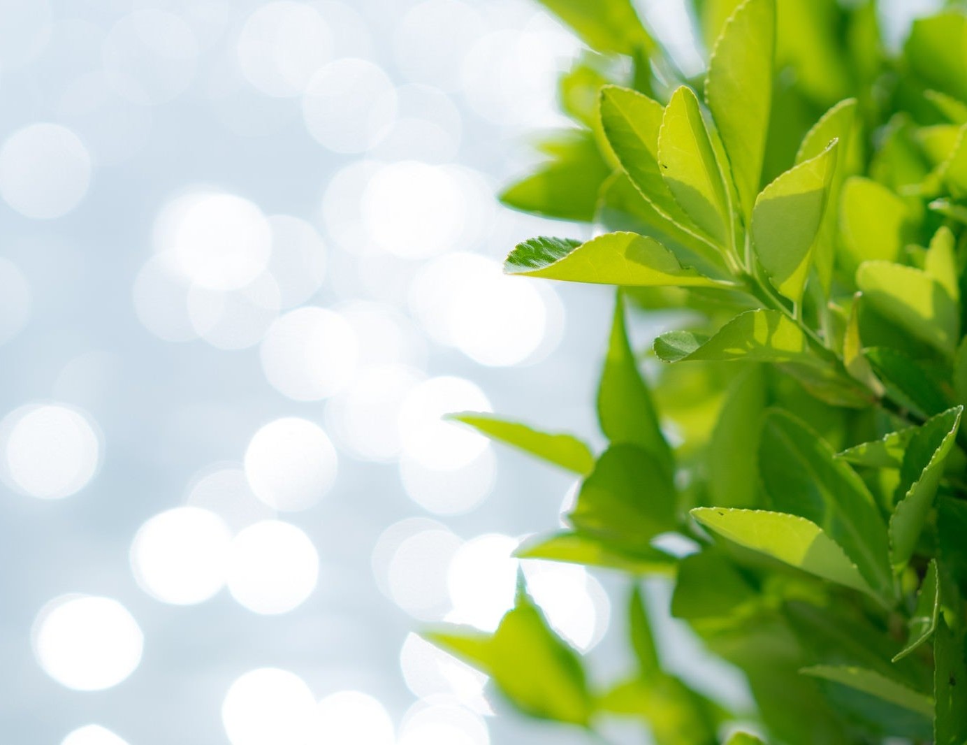 ゴールデンウィーク前に車をピカピカにする洗車と安全点検のおすすめ🚗