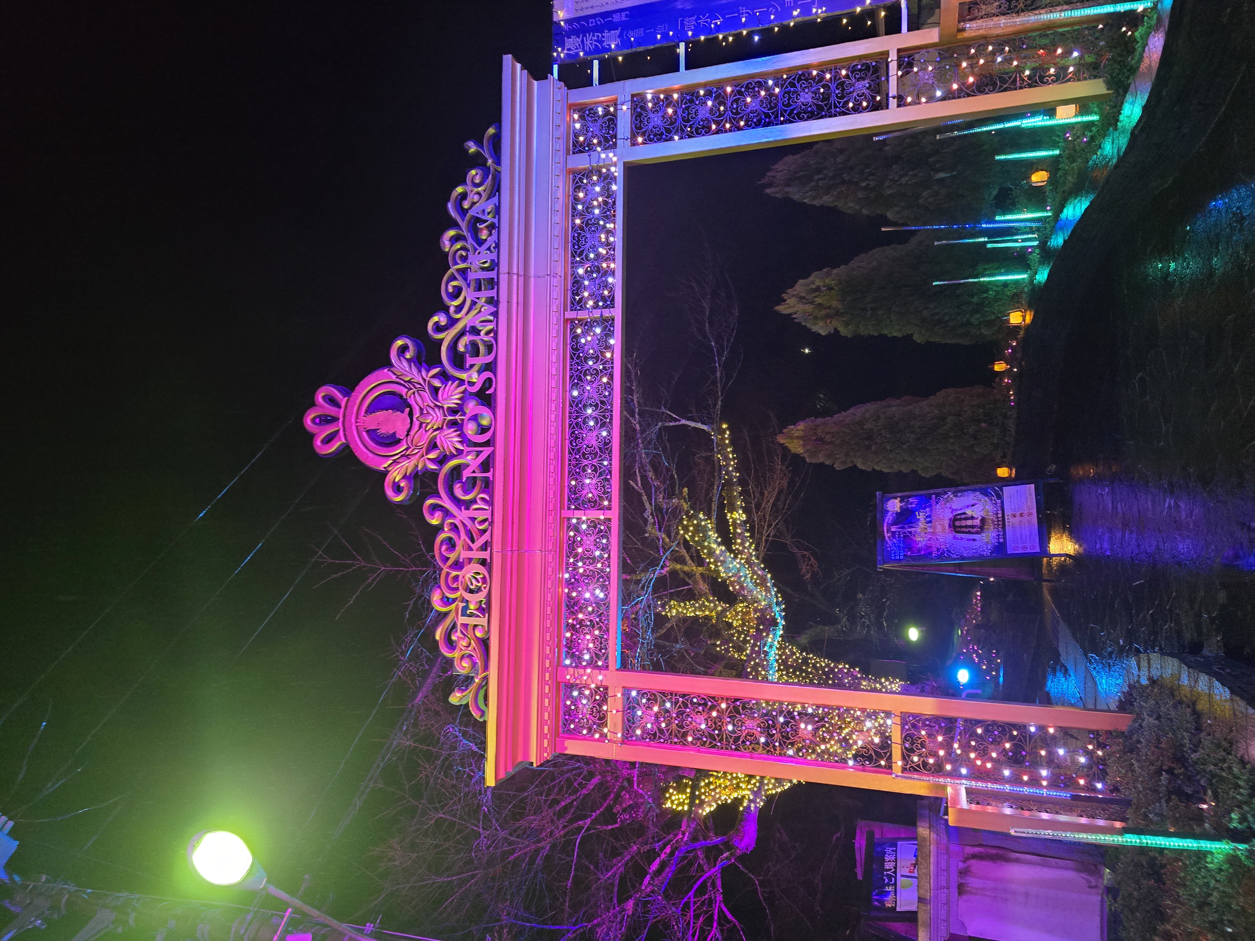 春の花粉対策におすすめ洗車と車メンテナンスのポイント🚗✨