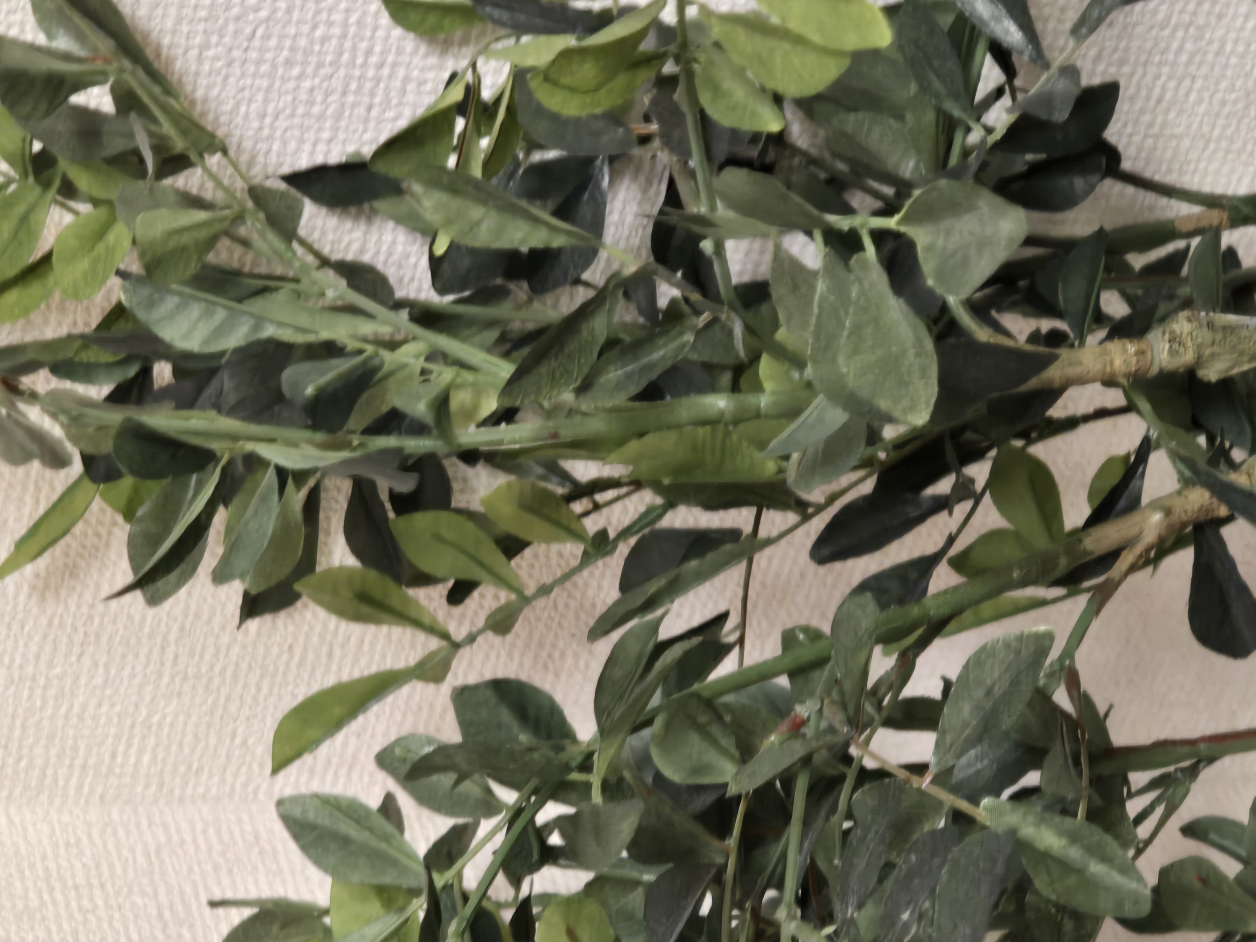 春の花粉対策におすすめ洗車と車の点検ポイント🚗快適ドライブへ