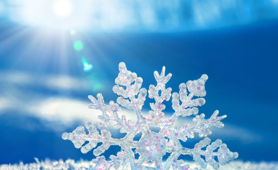 冬の安全運転に役立つタイヤ＆オイル点検イベント情報🚗