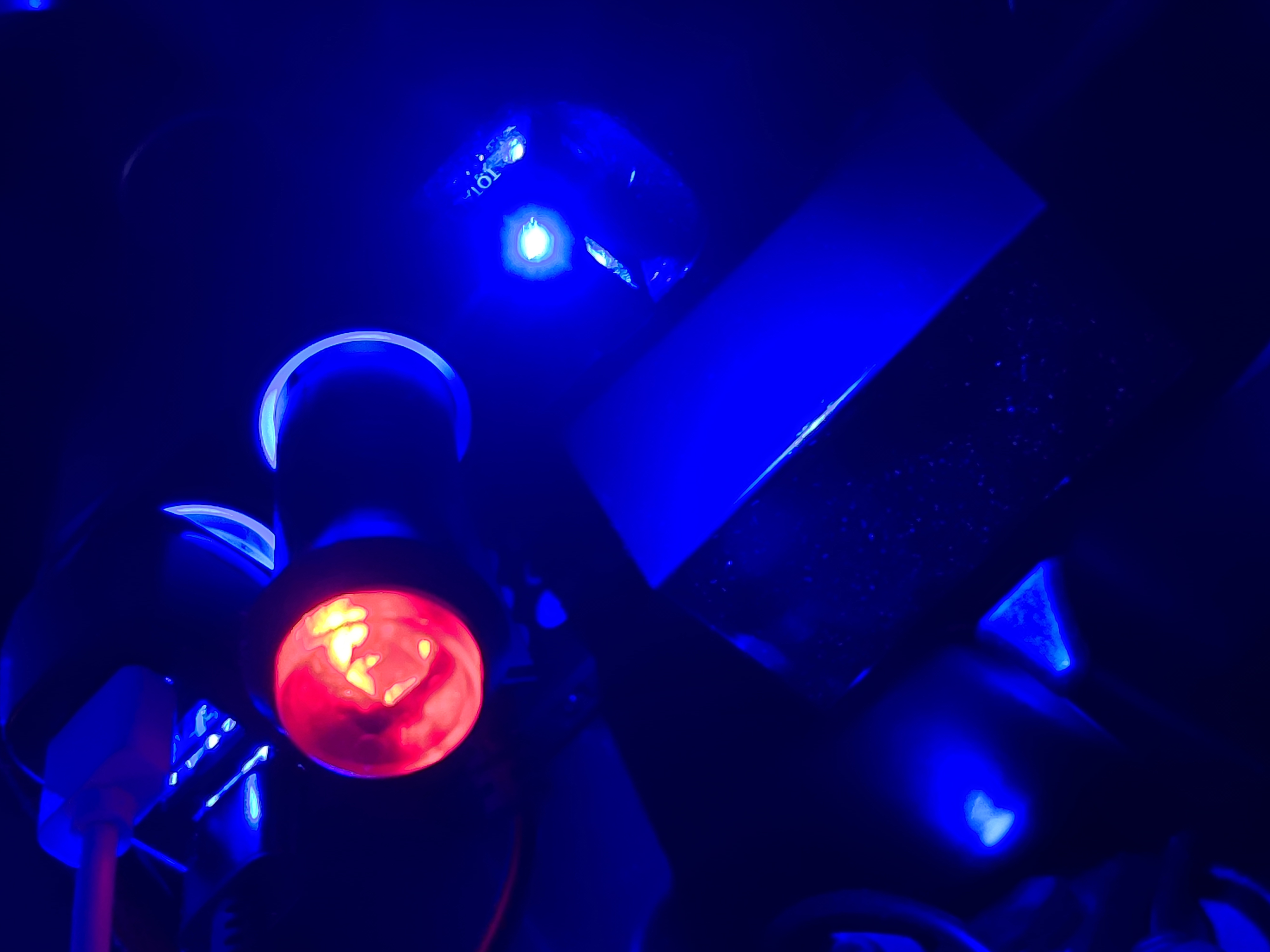 春の寒暖差に負けない車ケアポイントとセルフ富士見バイパスSSのおすすめサービス🚗