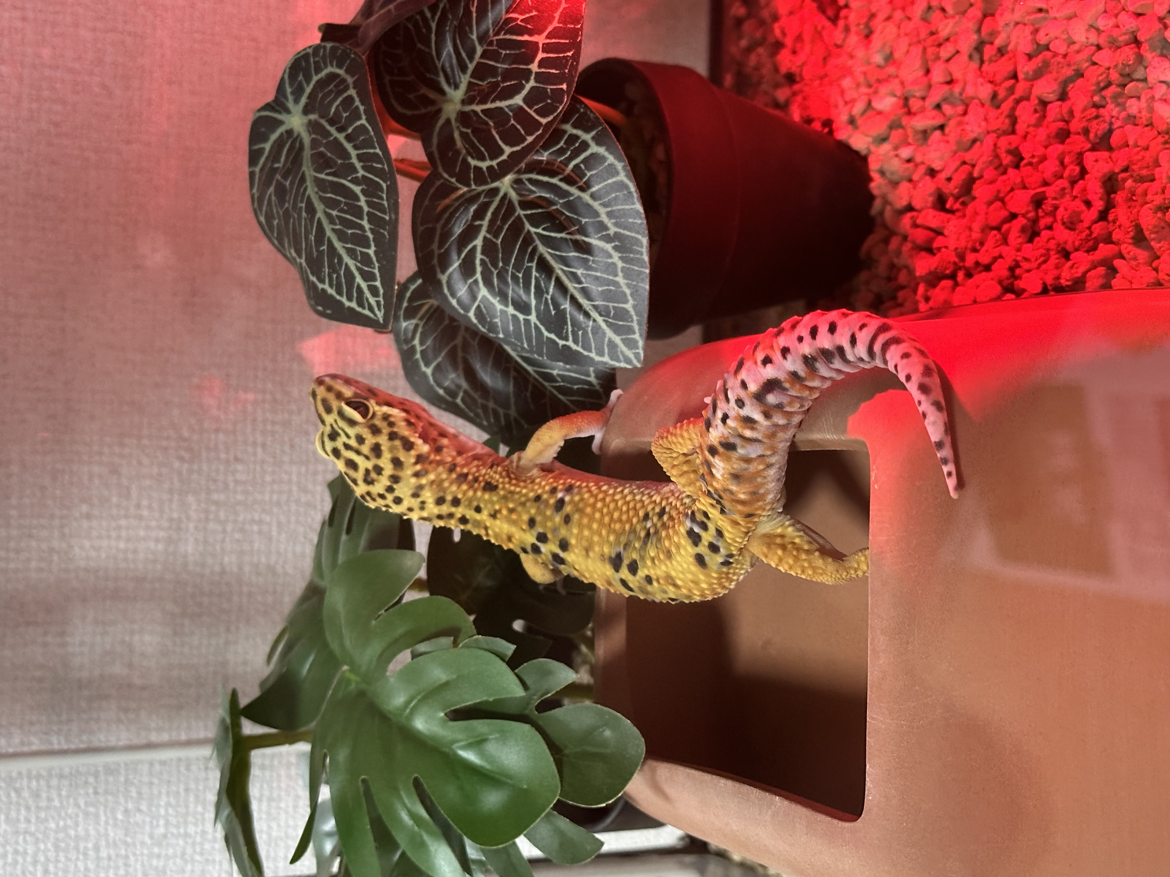 春の強風対策におすすめ洗車と点検で快適ドライブをサポート🌸