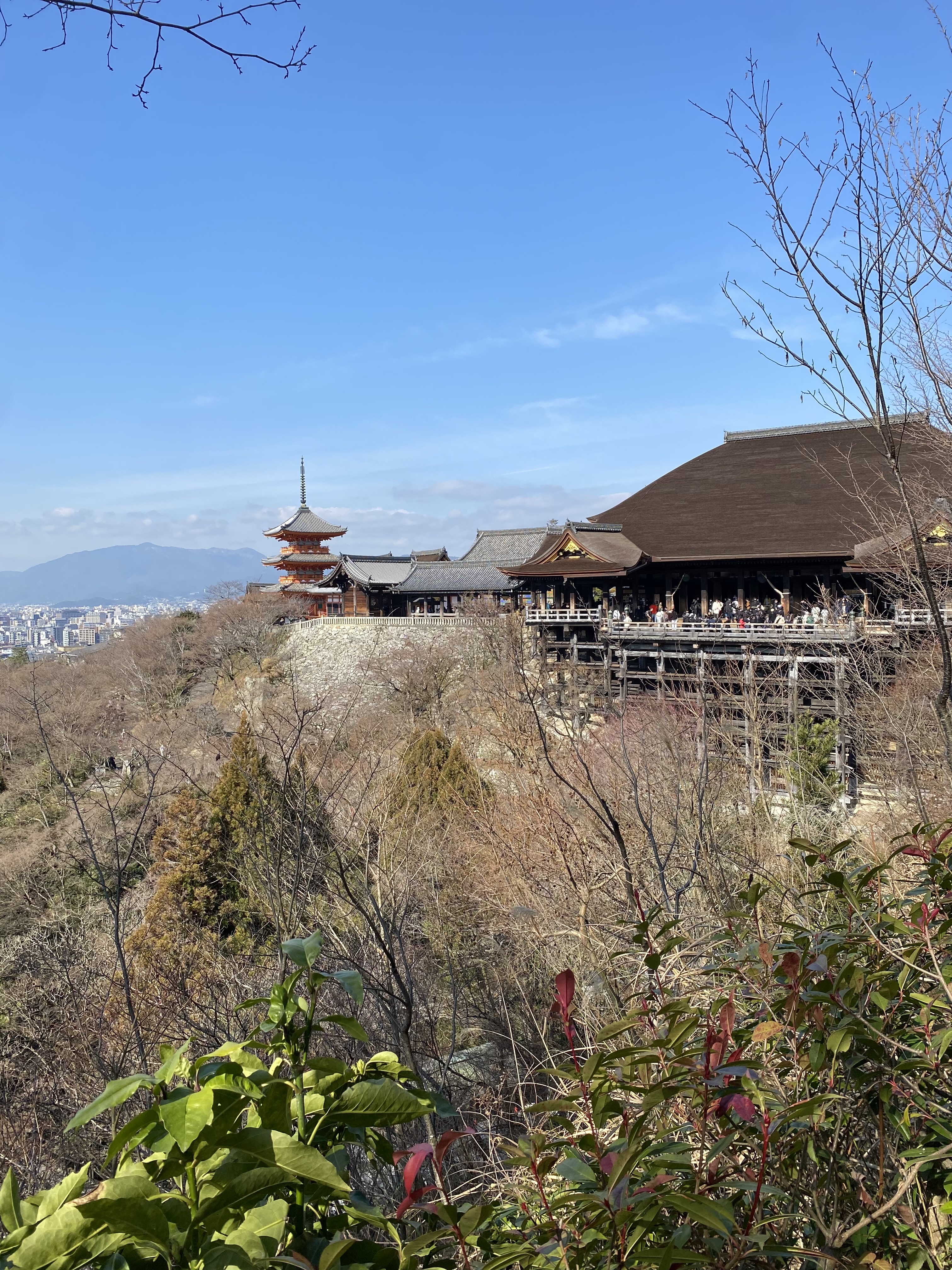 春のドライブ前にチェックしたいタイヤとワイパー点検ポイント🚗