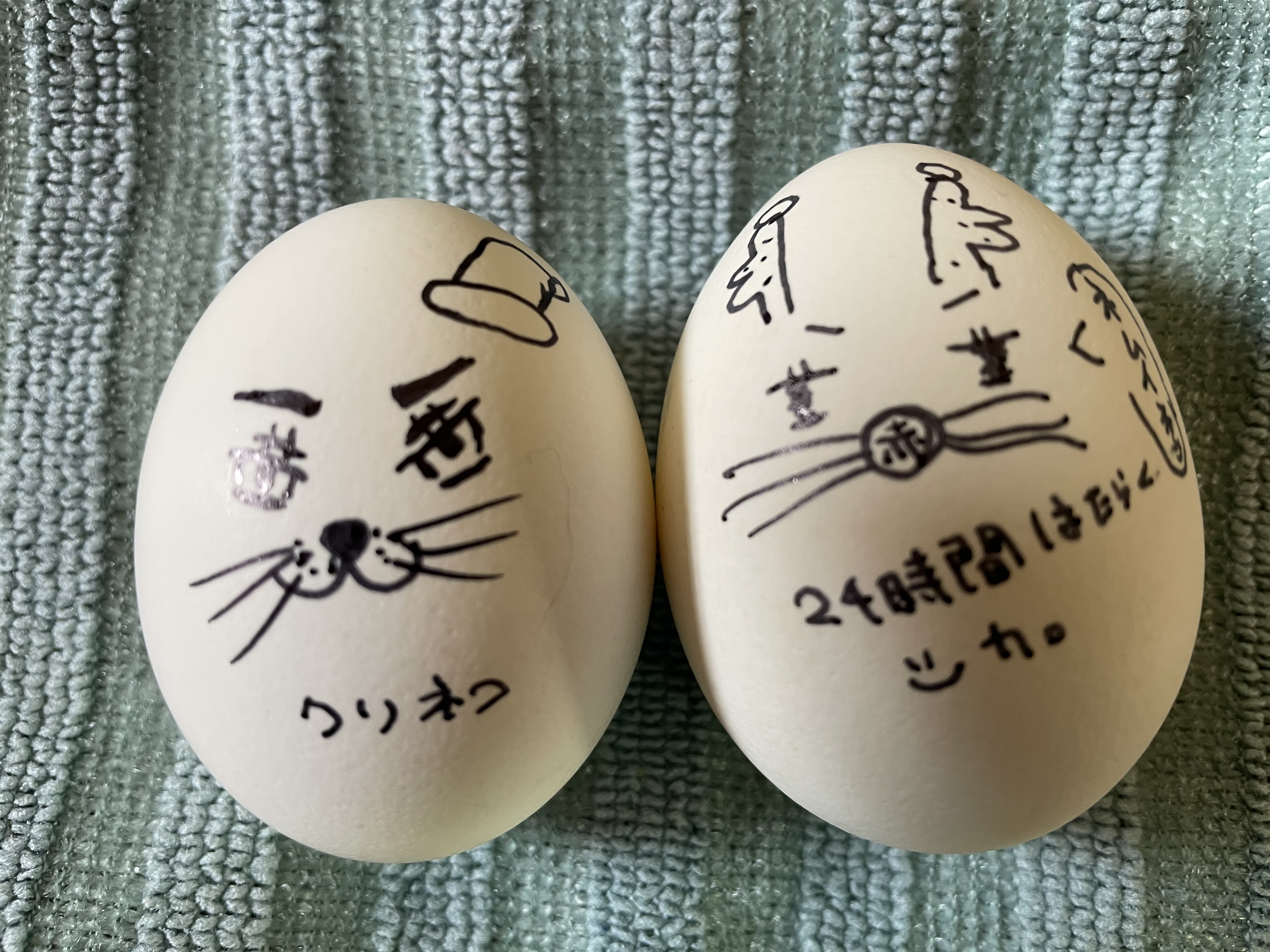 秋の愛車ケアはセルフ敷島SSでタイヤ点検＆コーティング🚗✨