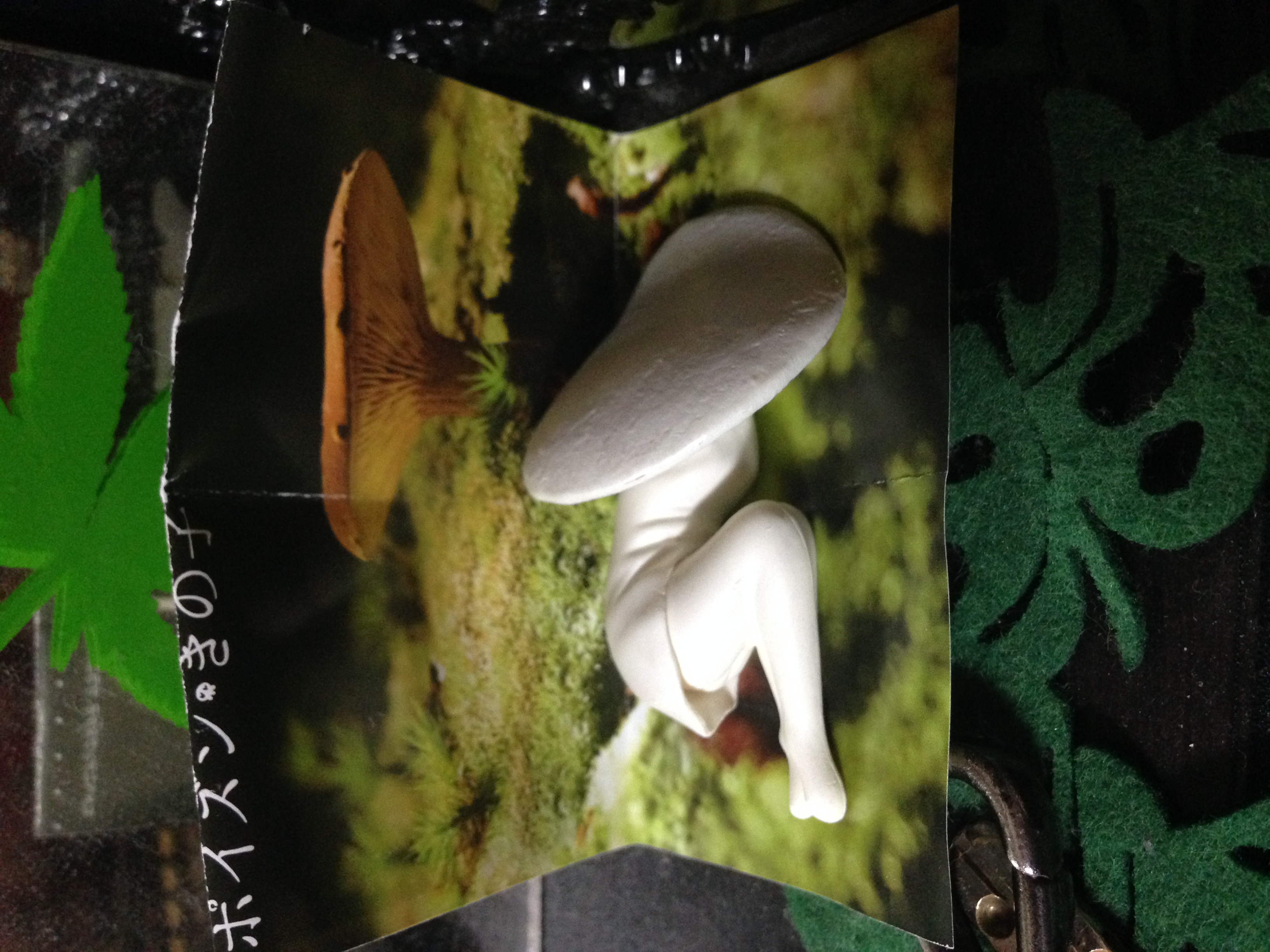 雨の日も安心セルフ敷島SSの冬の車メンテナンスポイント☔