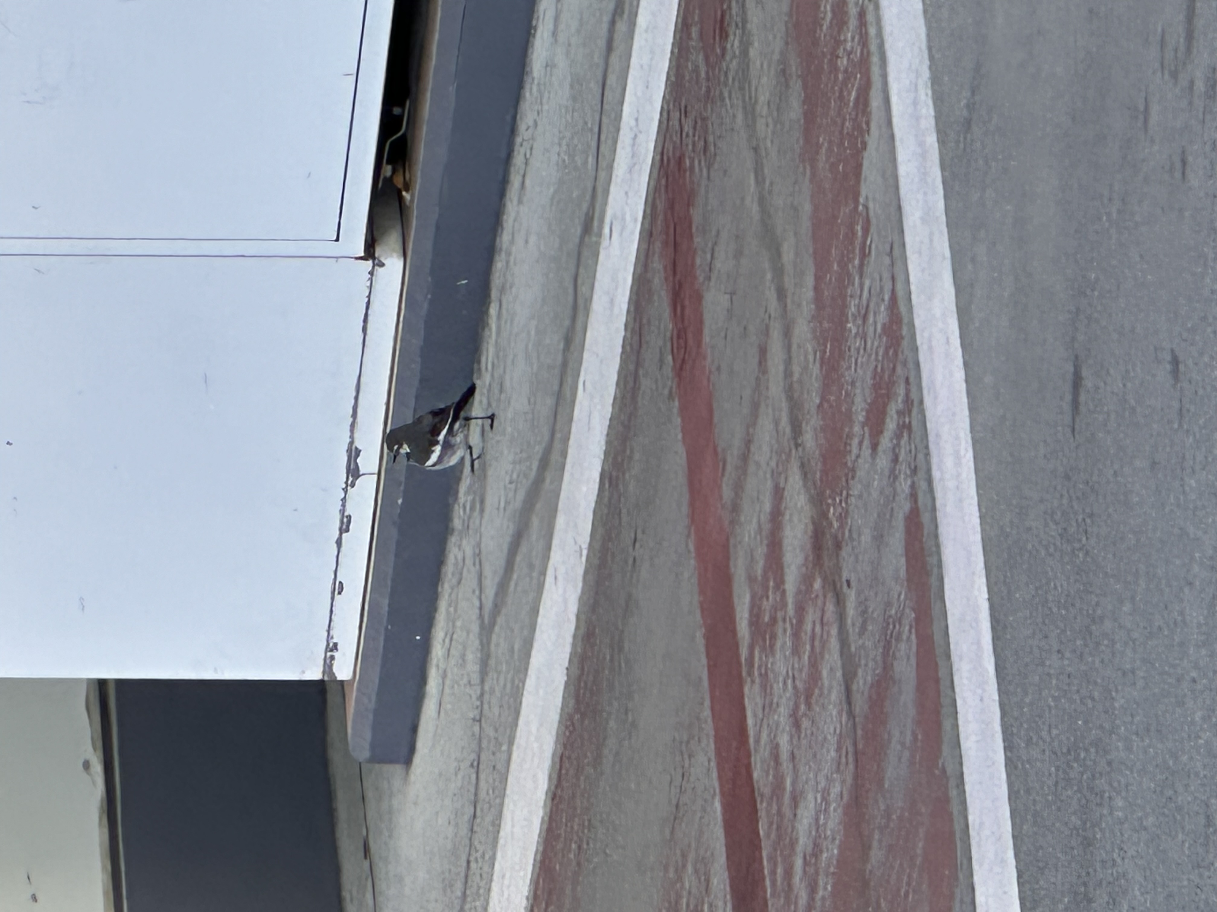 冬の晴れ間におすすめセルフ敷島SSの洗車と無料点検サービス🚗