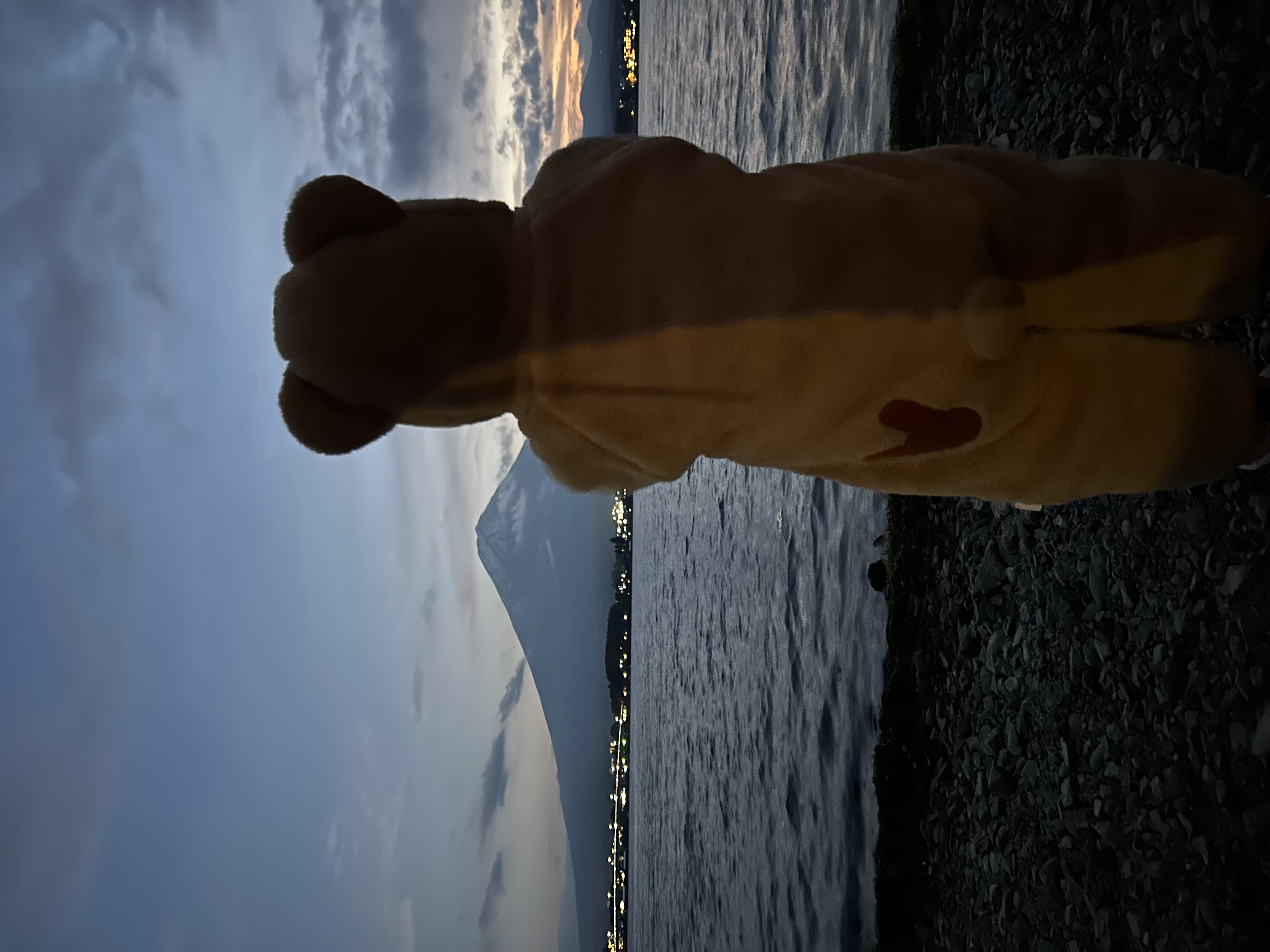 秋のタイヤ交換と点検で安全ドライブをサポートします🚗