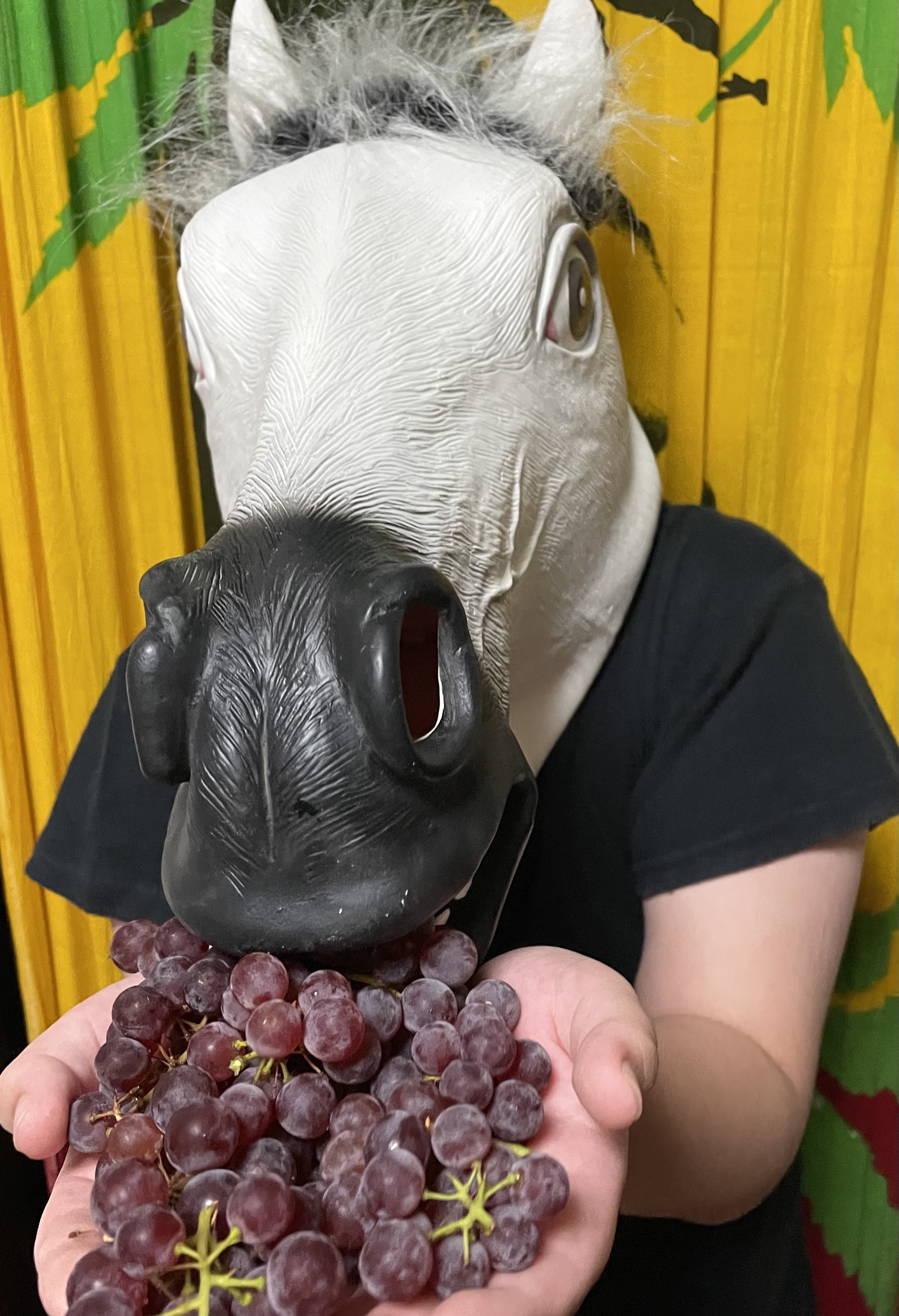 夏の暑さ対策におすすめエアコン＆タイヤ点検キャンペーン🍇安全快適ドライブへ