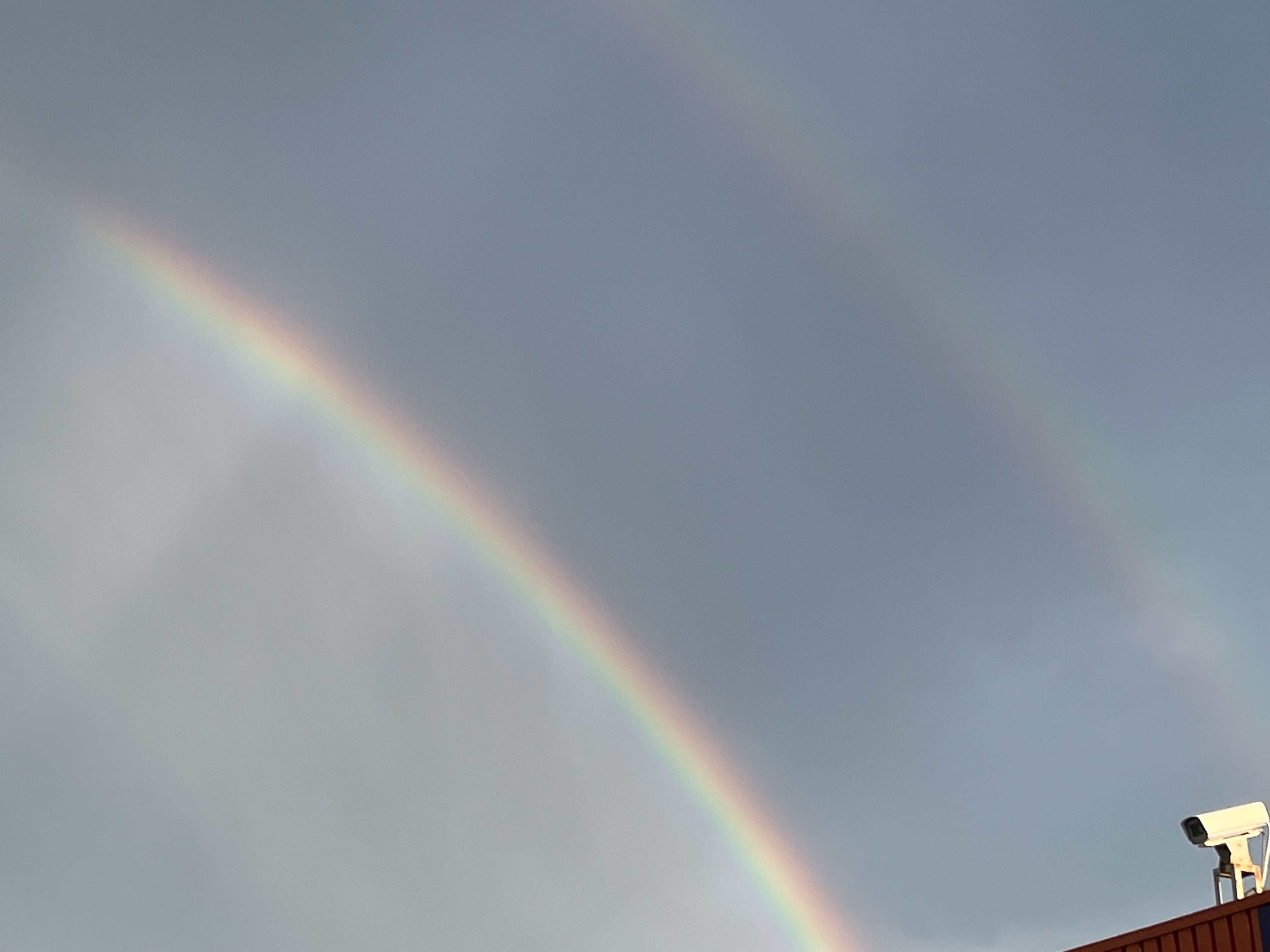 秋の車ケアはコーティングとタイヤ脱着で安全快適に🚗✨