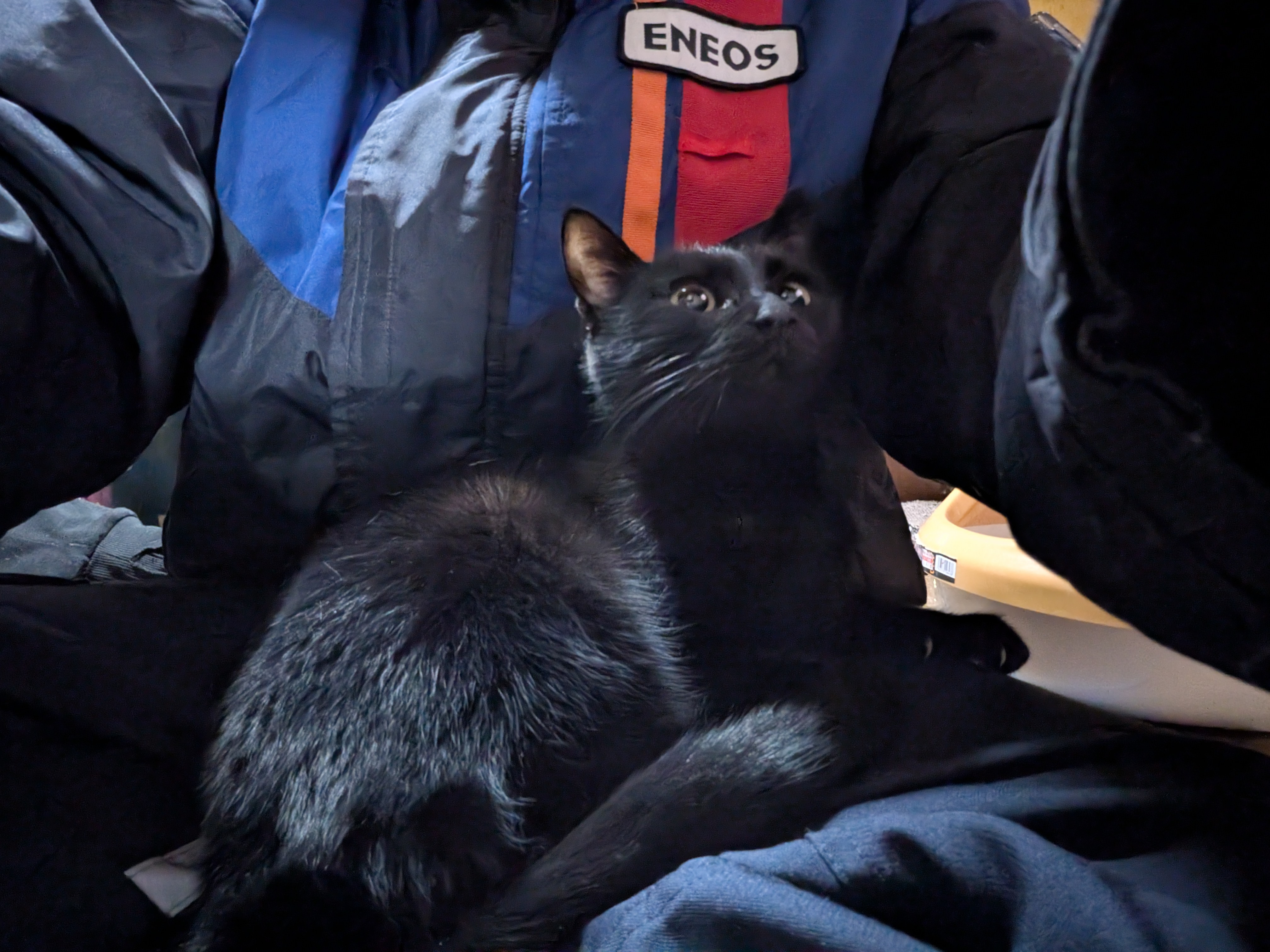 冬の愛車ケアは手洗い洗車と選べるkeeperキャンペーンでお得に🚗