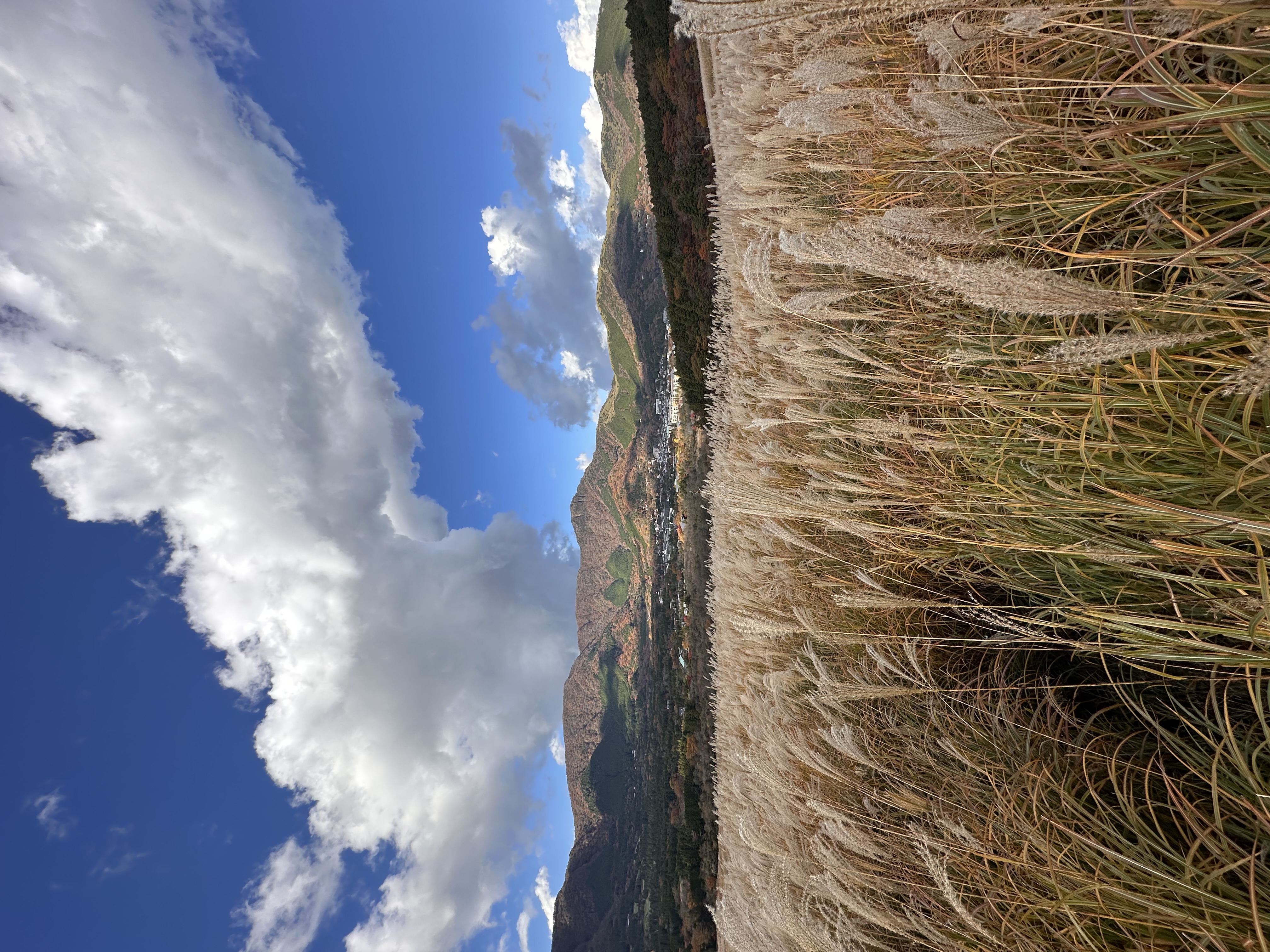 秋のドライブ前におすすめセルフ敷島SSの安心点検と洗車🚗