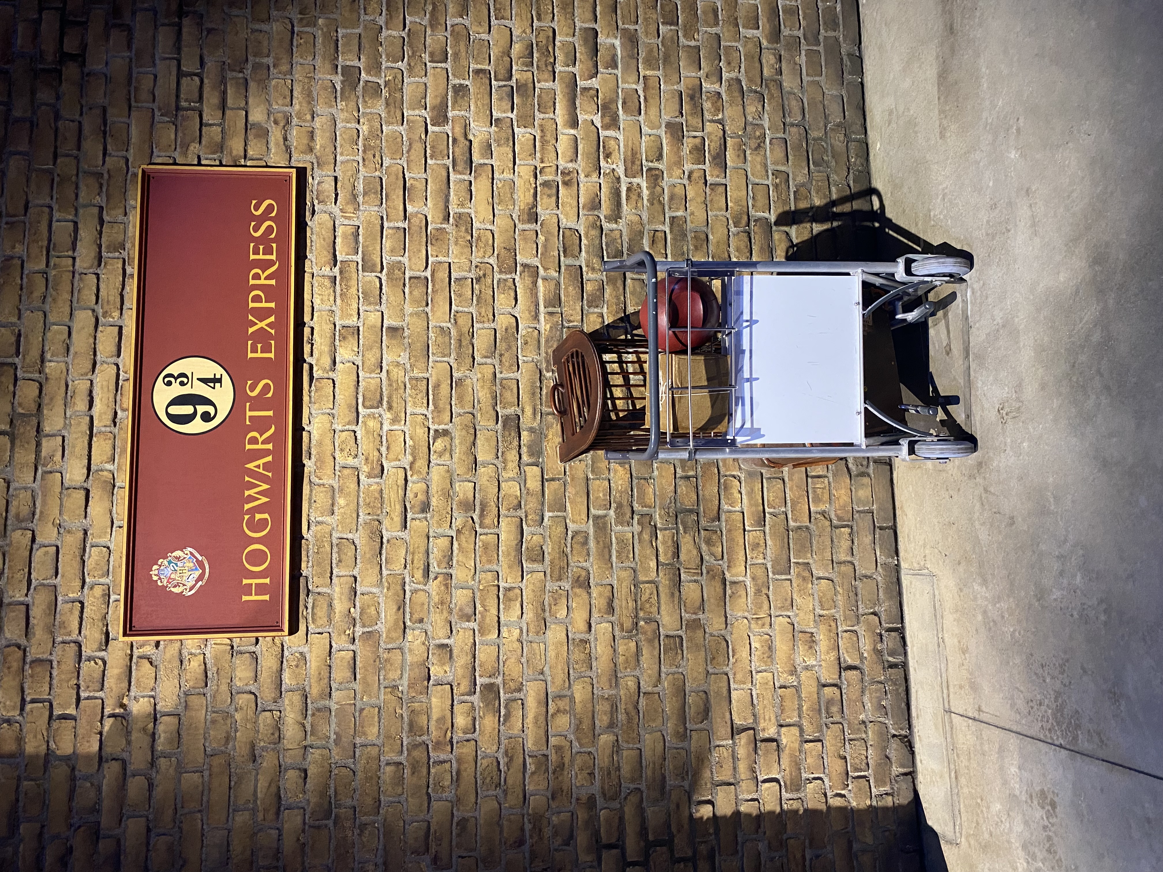 冬の愛車メンテナンスはセルフ敷島SSで安心コーティングと点検🚗✨