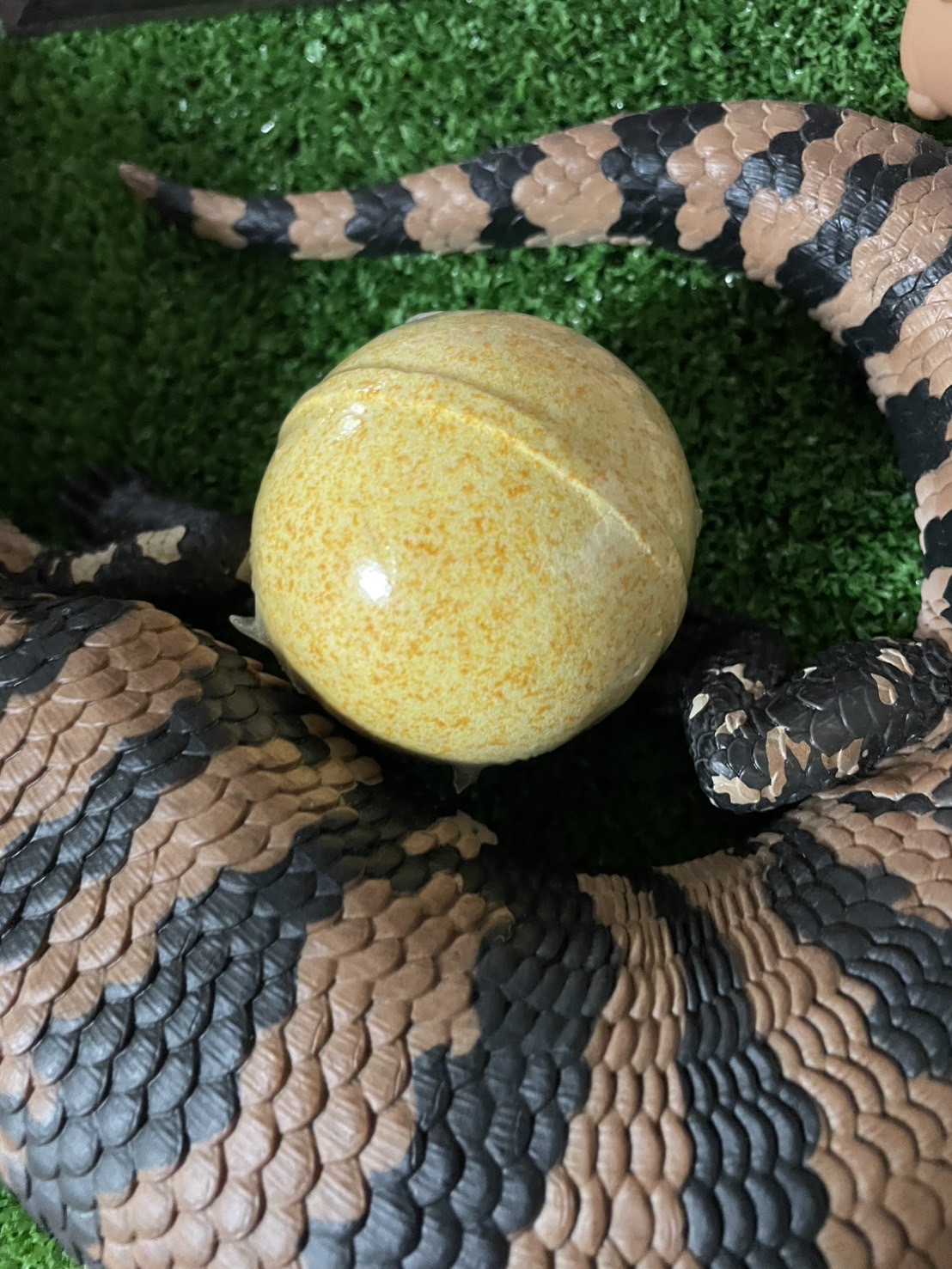 冬の安全運転に役立つタイヤ脱着とコーティングのポイント❄️