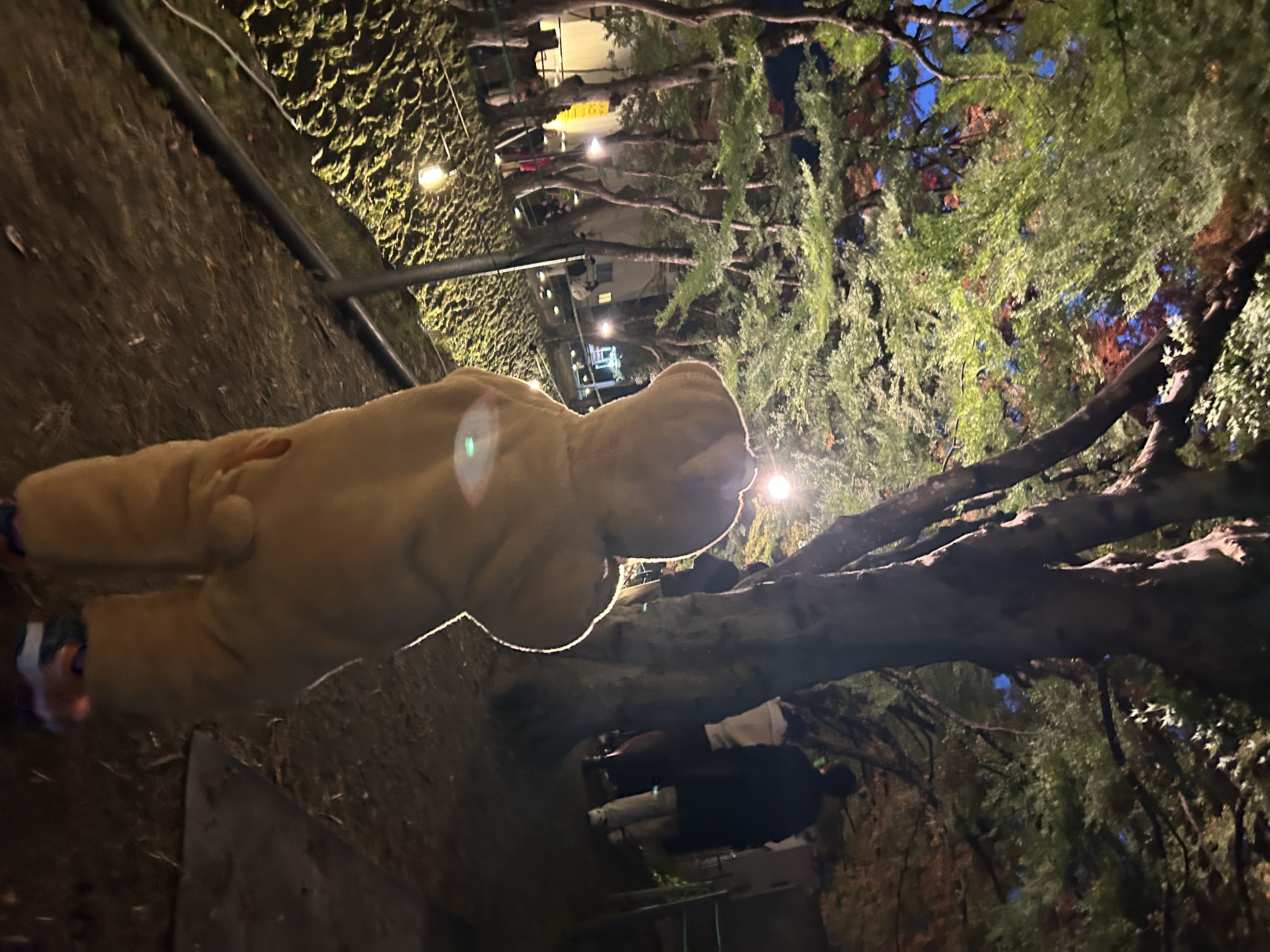 セルフ敷島SSで安心タイヤ交換と冬の車点検ポイント⛽️