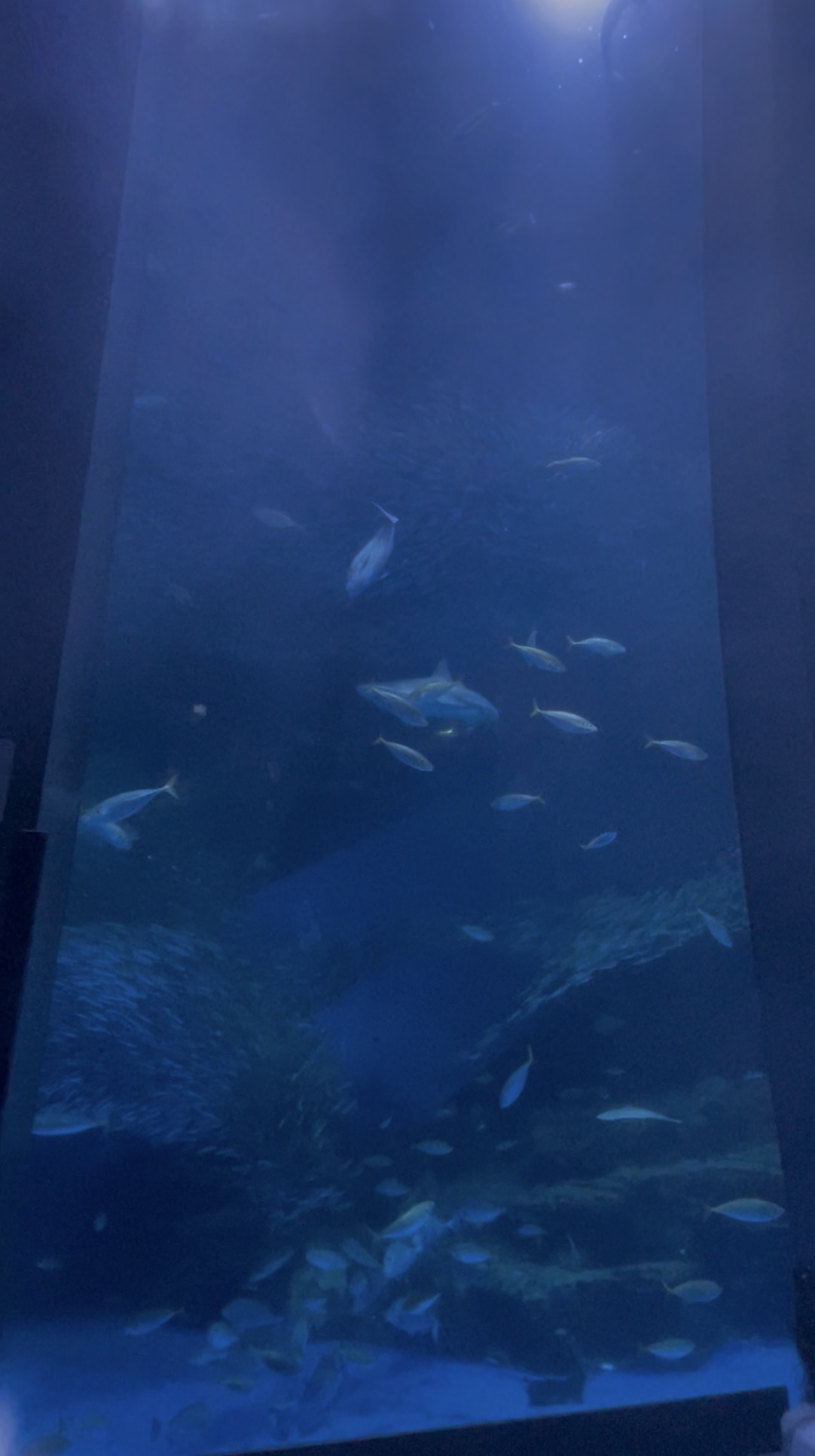 春の車メンテナンスとタイヤ脱着1100円キャンペーン情報🚗