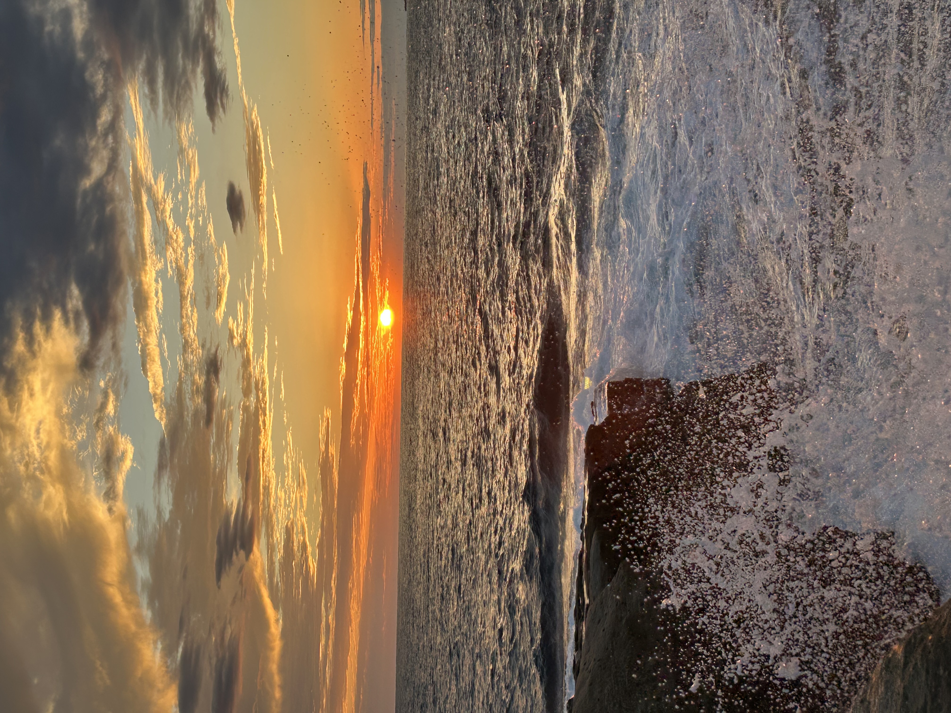 オイル交換半額&手洗い洗車で秋の愛車メンテナンス🍁