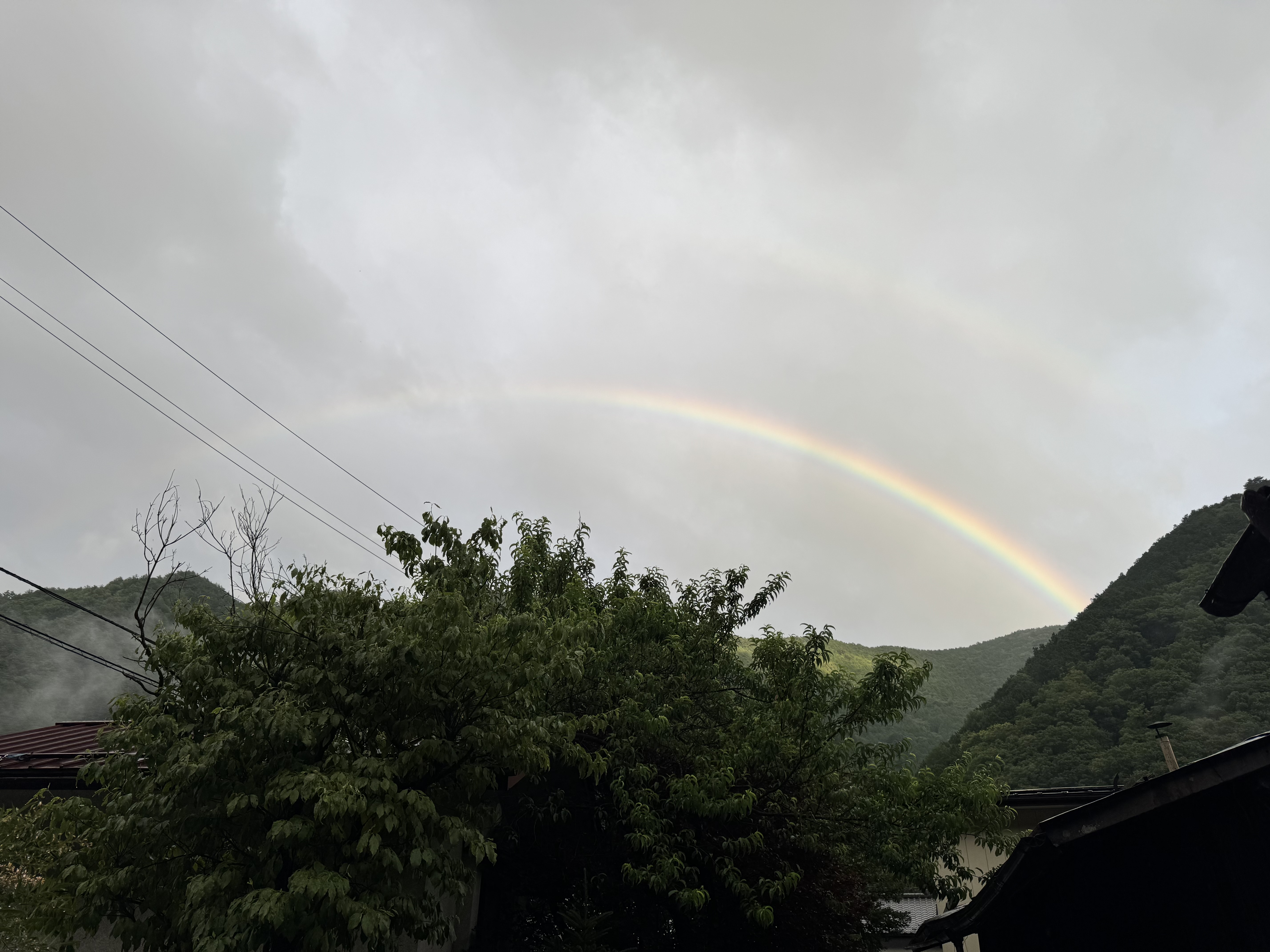 雨の日も安心ウェイク点検と半額オイル交換キャンペーン情報🌈