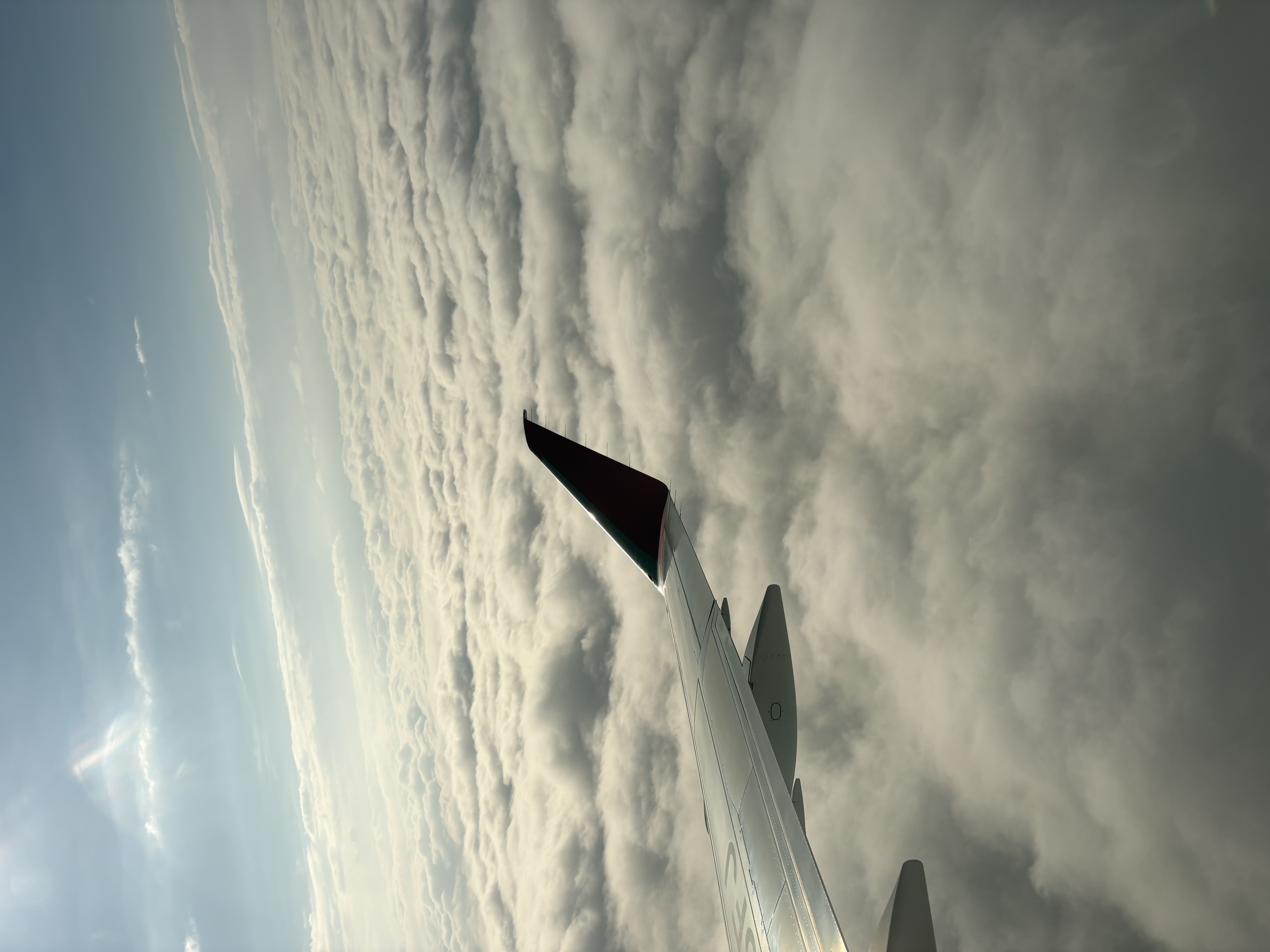 春のタイヤ交換はルート19塩尻TSでお得に安全サポート😊