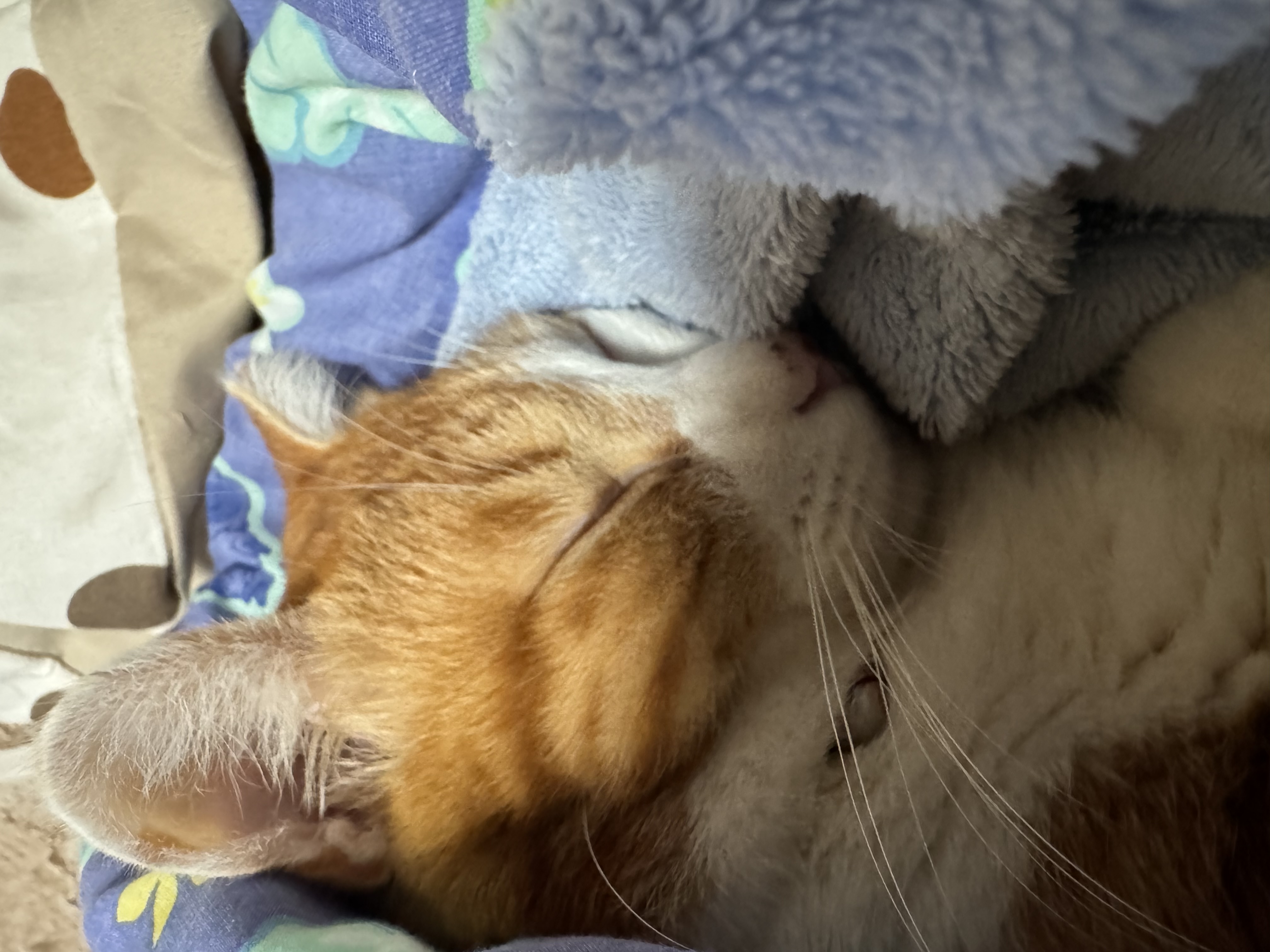 冬の車トラブル対策と年末洗車キャンペーン情報をチェック🚗✨