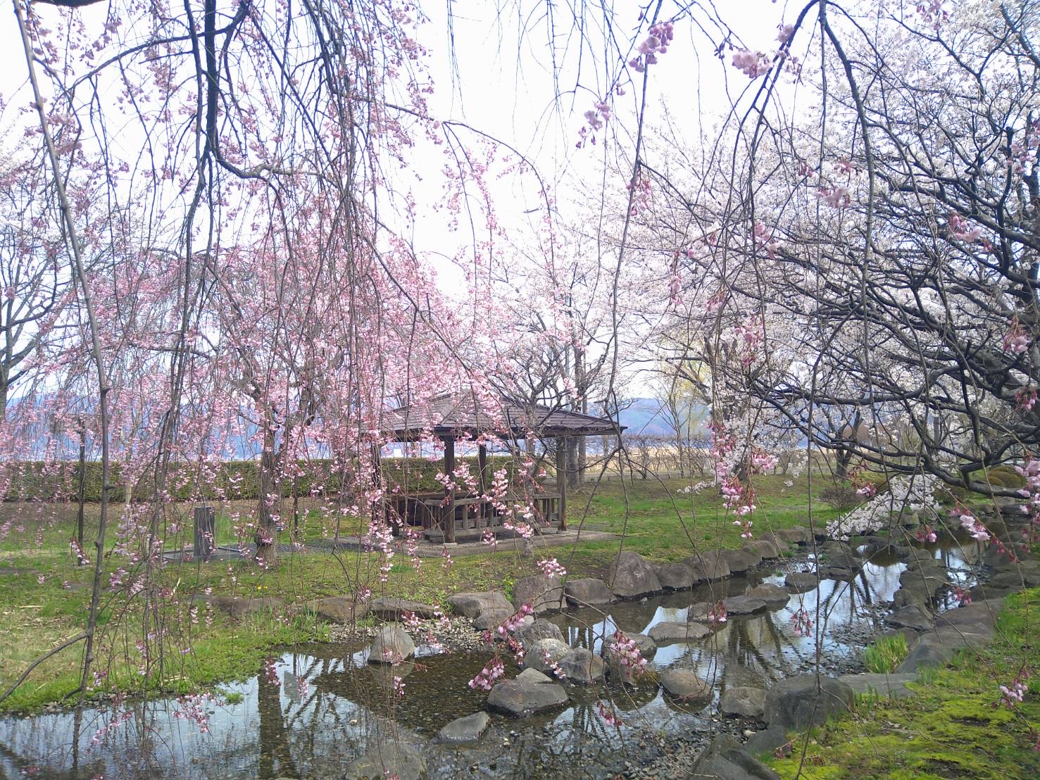 春の愛車ケアは手洗い洗車とコーティングで快適ドライブへ🚗✨