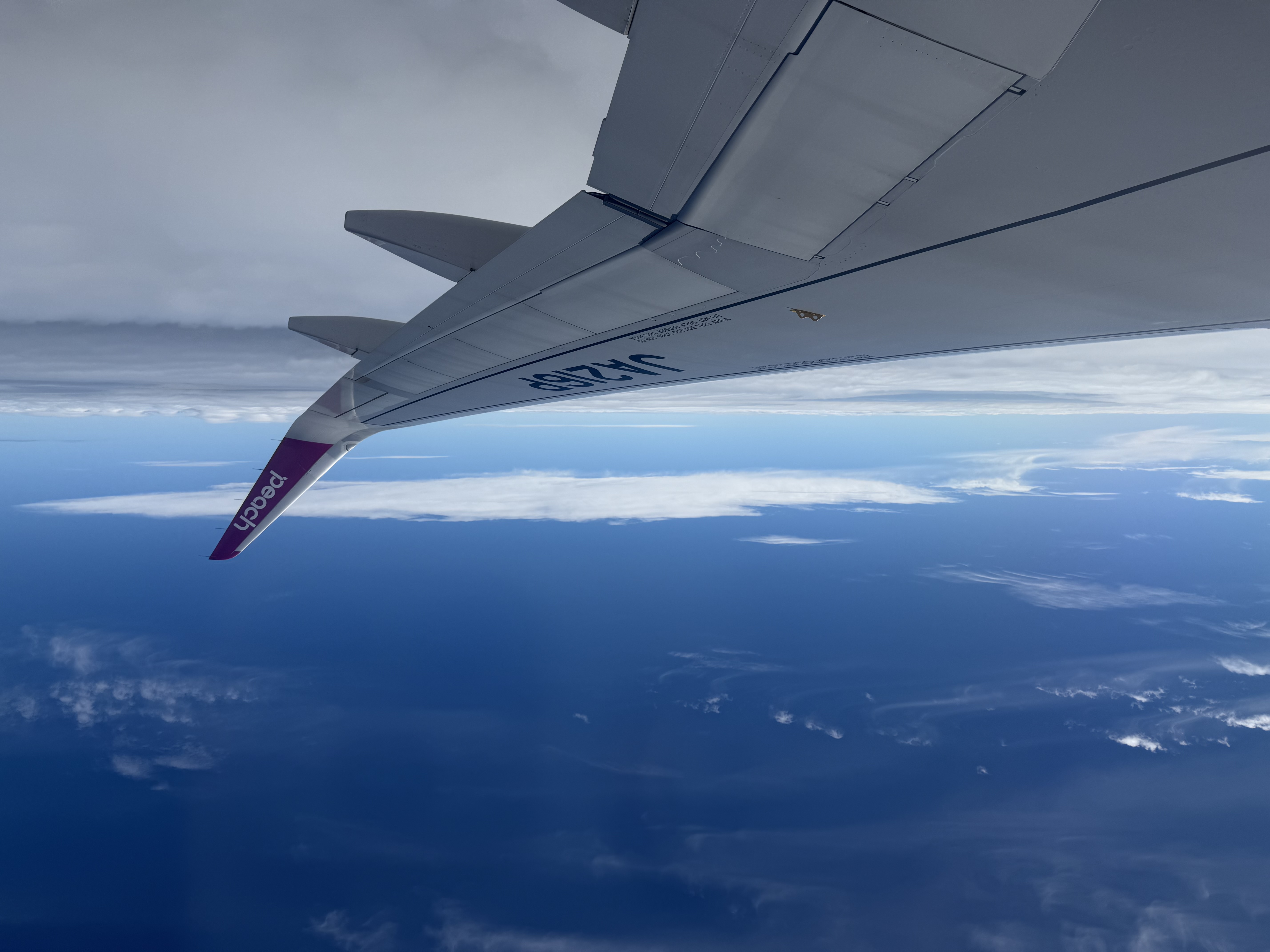 秋のドライブ前にチェックしたい車の点検ポイントとお得情報🚗