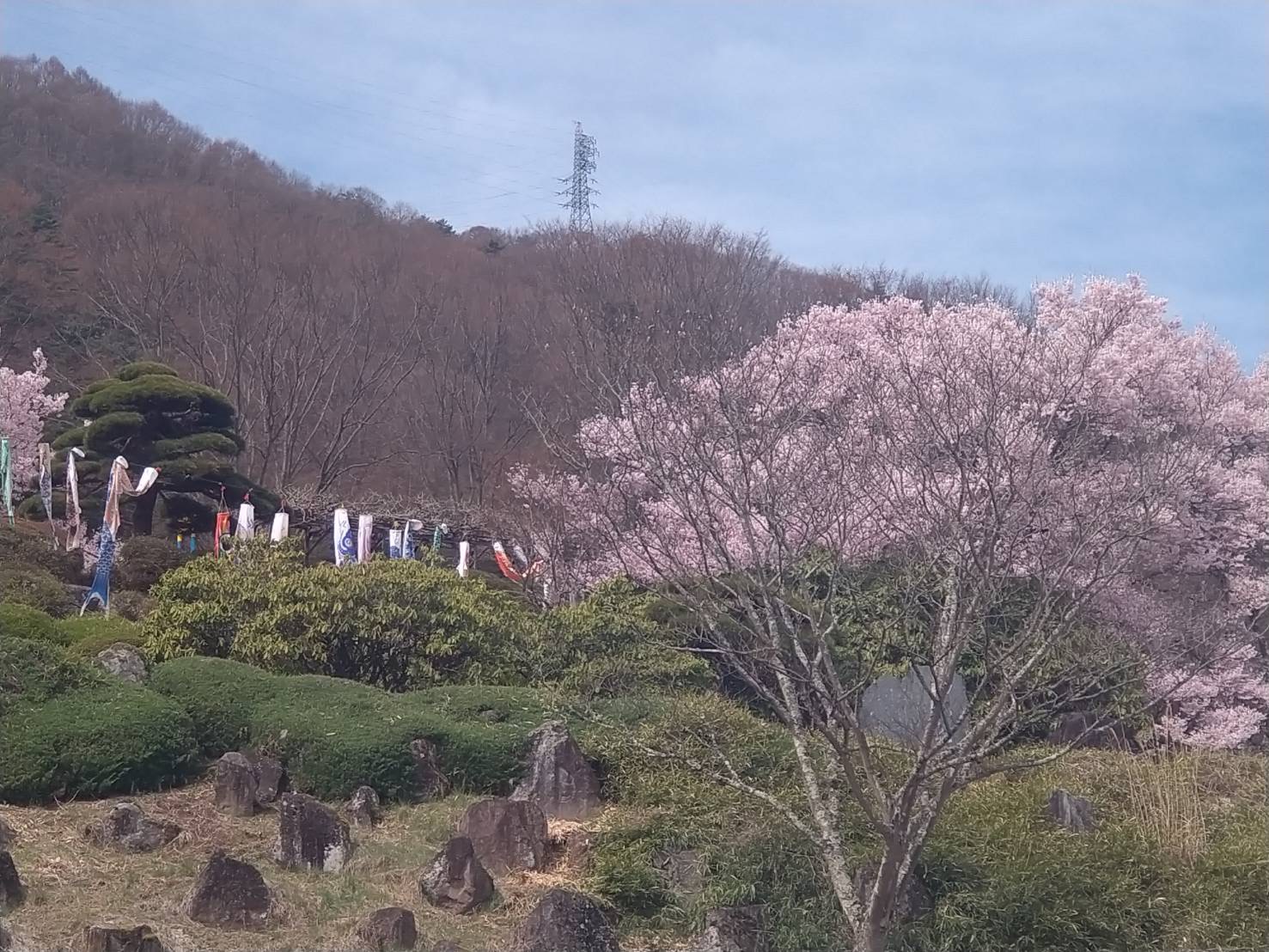 中央道諏訪インターTSで安心の車コーティングと点検サービス🚗✨