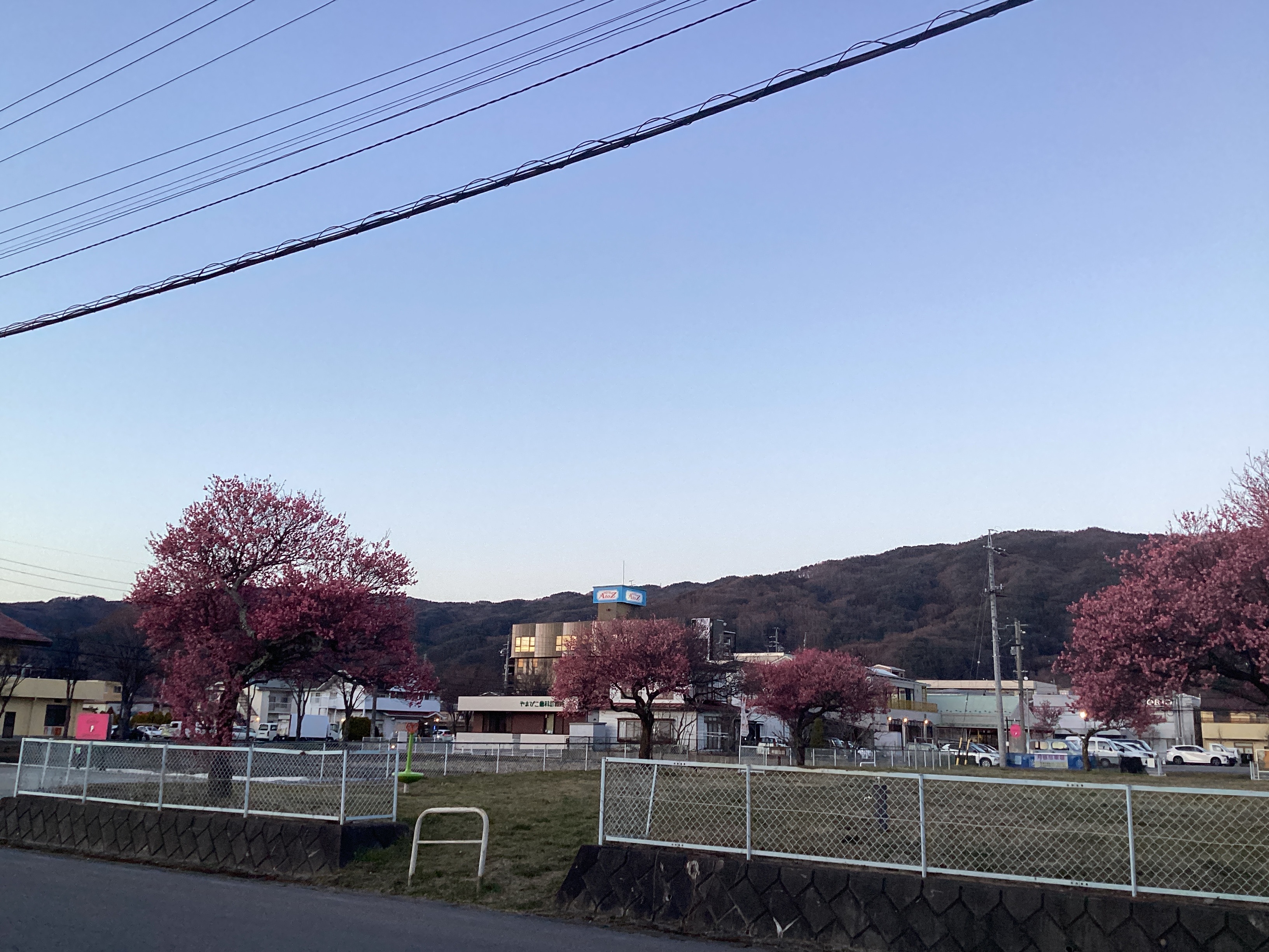 春のドライブ前にチェックしたいタイヤと車のメンテナンスポイント🌸