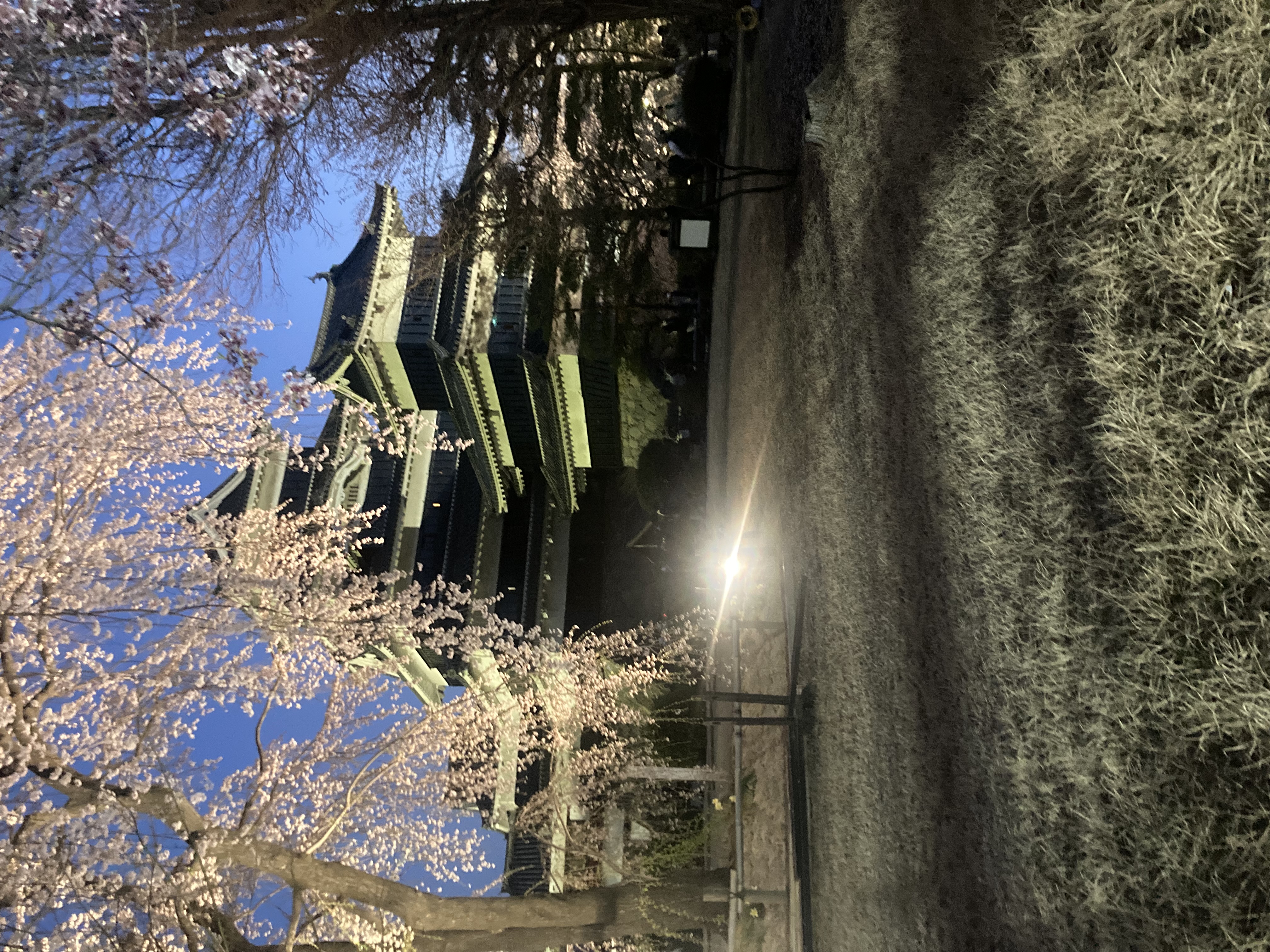 春のドライブ前にチェックしたいタイヤ交換と車の点検ポイント🚗