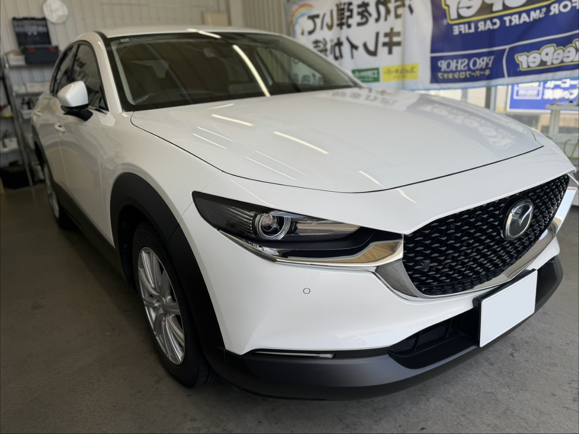 マツダ CX-30（白）にフレッシュキーパーを施工した後の艶のあるボディ