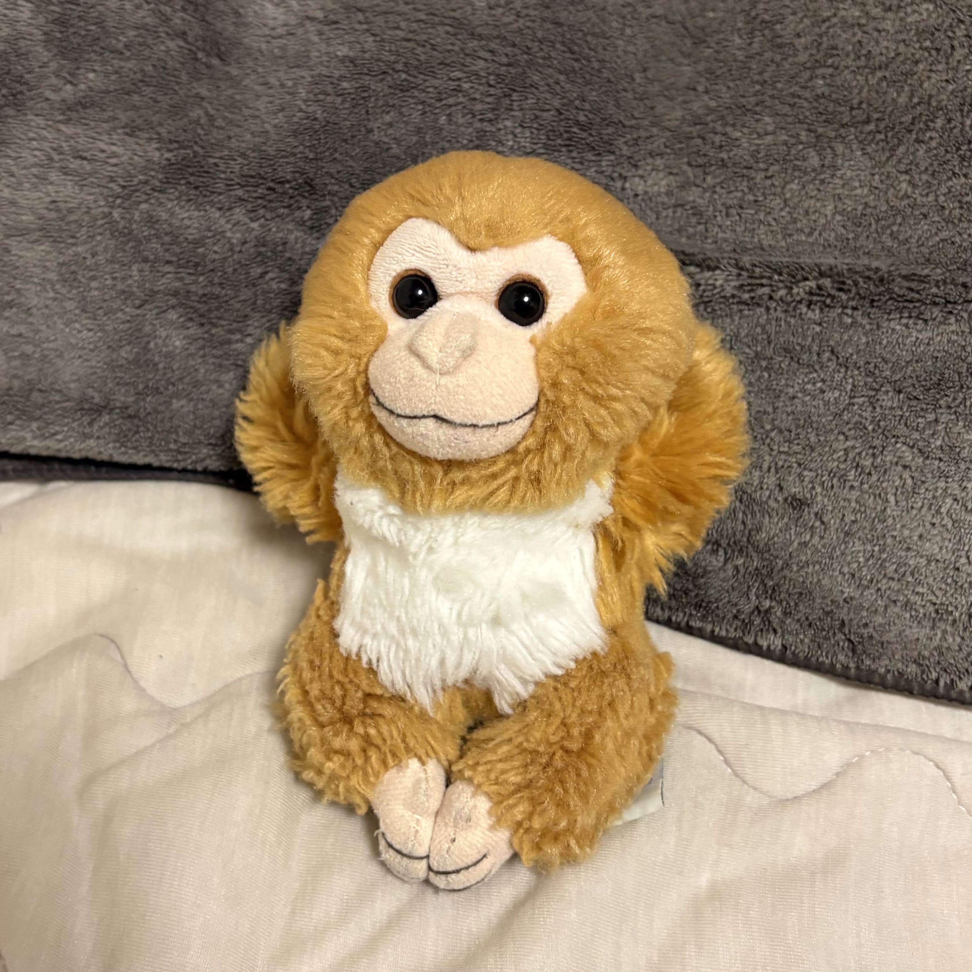 冬の新潟で安心ドライブを叶えるメンテナンス術❄️安全対策のポイント紹介