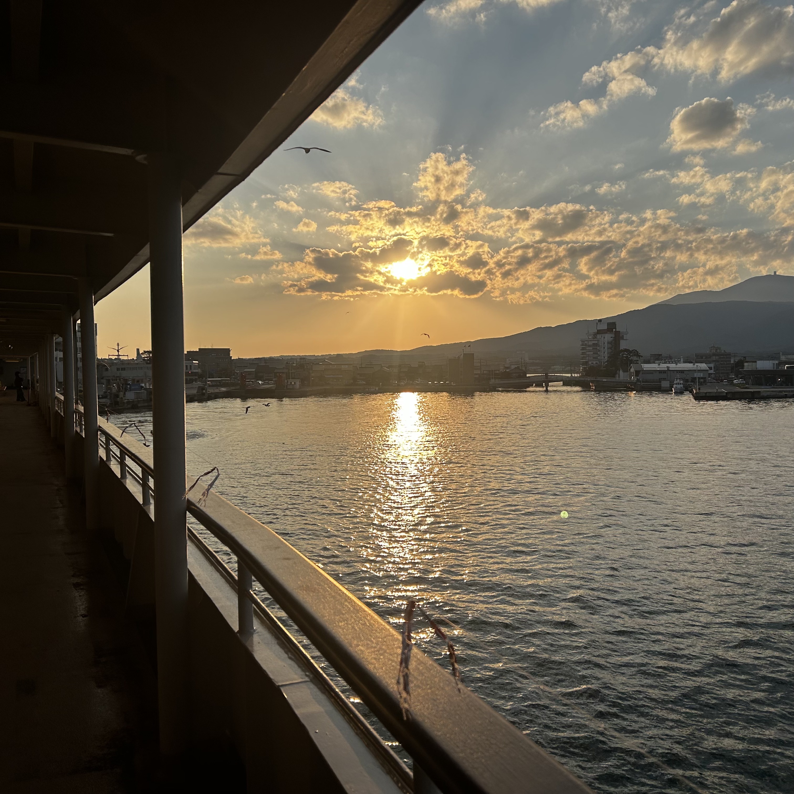 新潟白根TSで手洗い洗車とコーティングがお得に楽しめる🚗✨