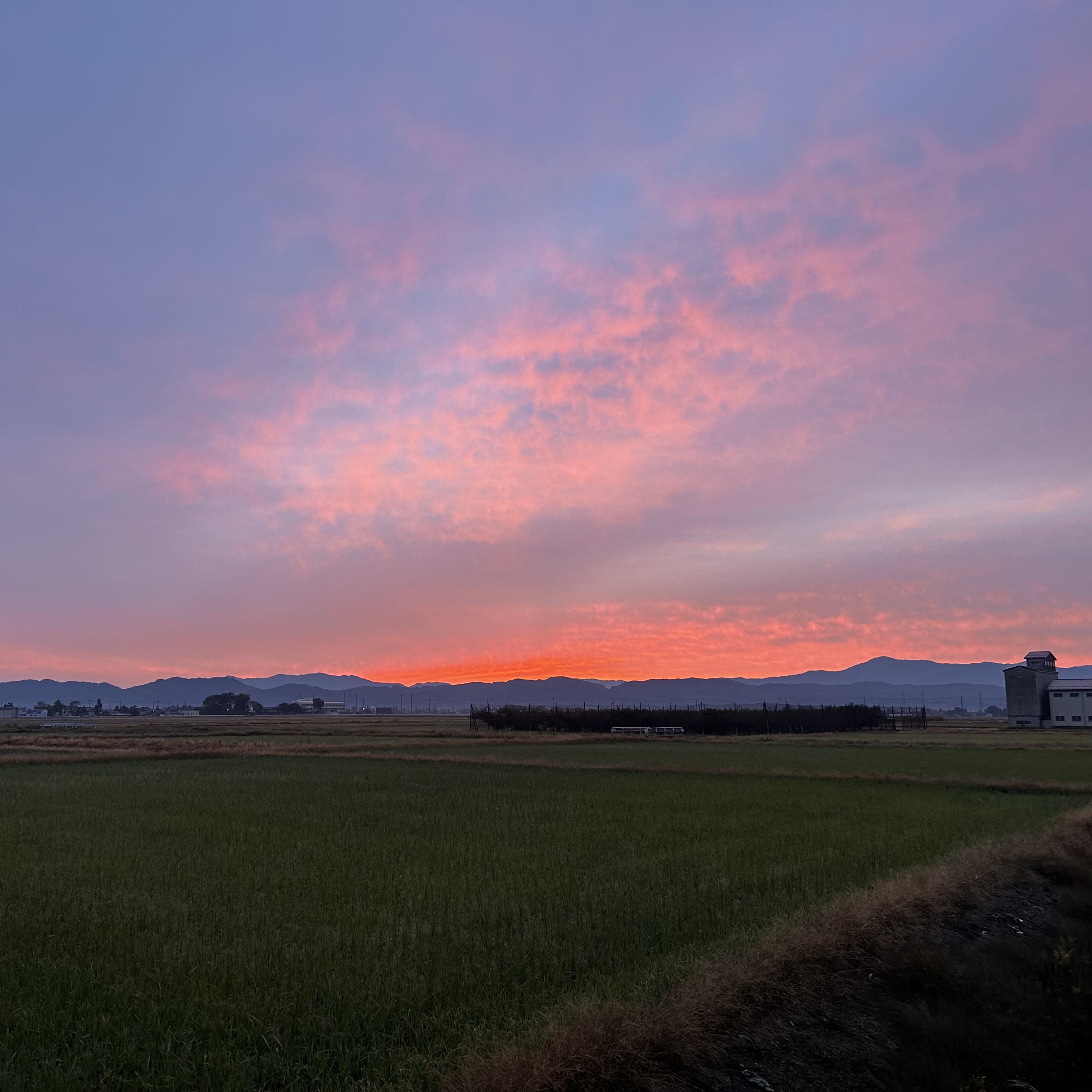 新潟白根TS手洗い洗車とミネラル取りで秋の愛車ケア✨お得情報も紹介