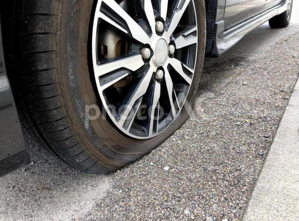秋のドライブ前に静岡SSで安心点検とお得なクーポンをゲット🚗