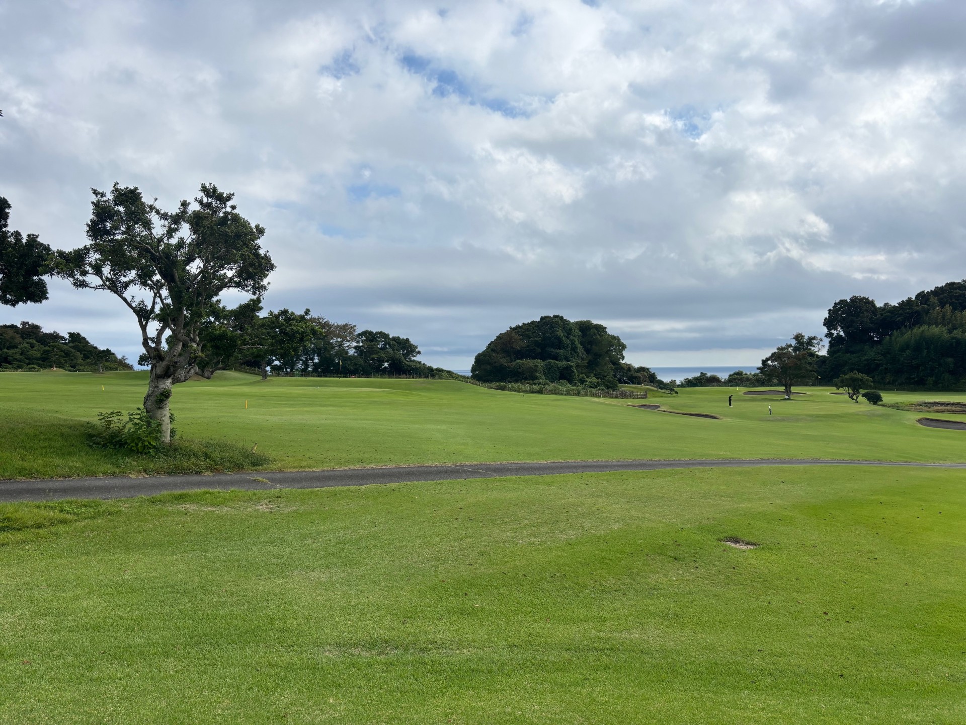 年末の愛車メンテナンスは静岡SSで安心ドライブ準備🚗