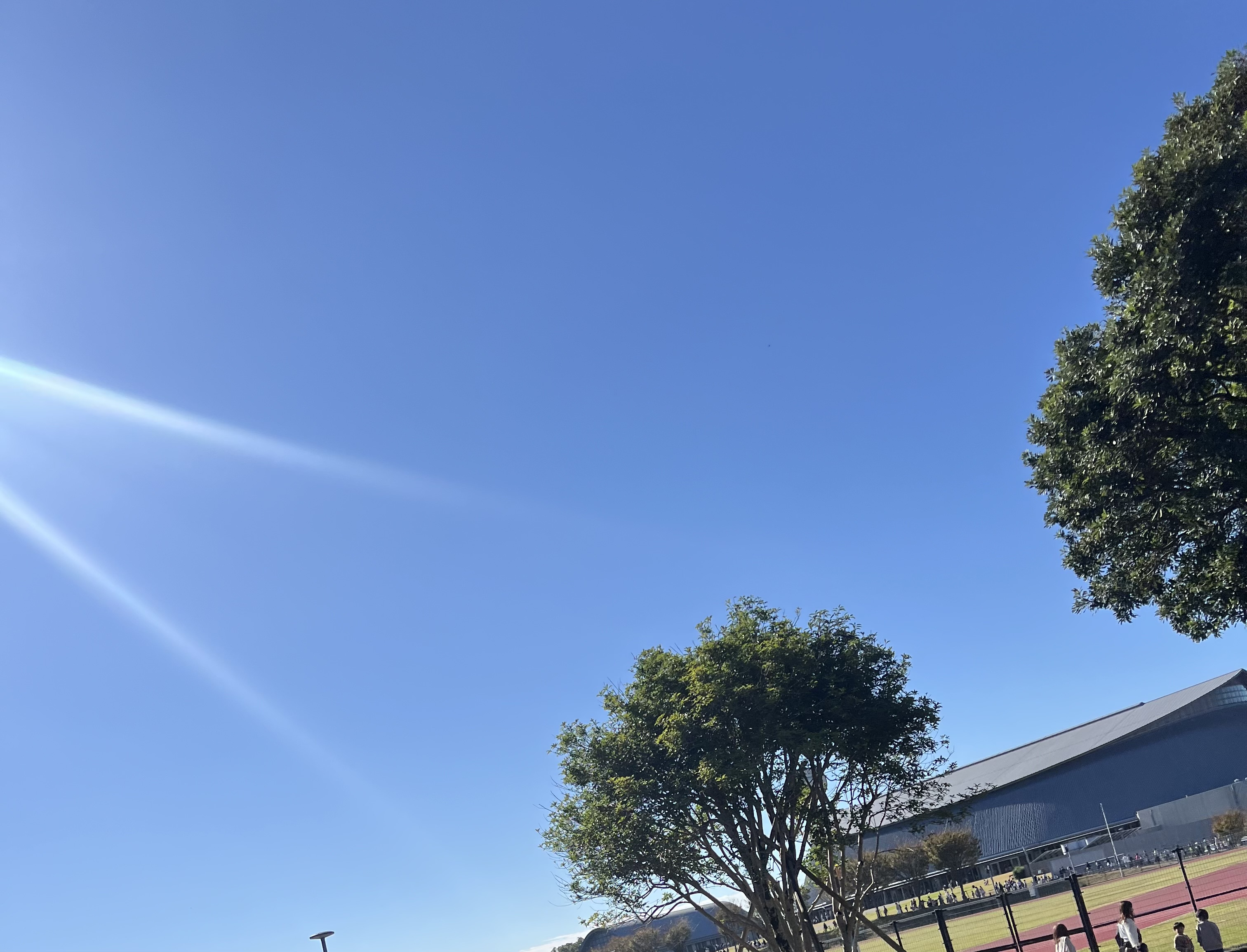 静岡SSで安心リペア相談 車のメンテ秋のポイントも解説🚗