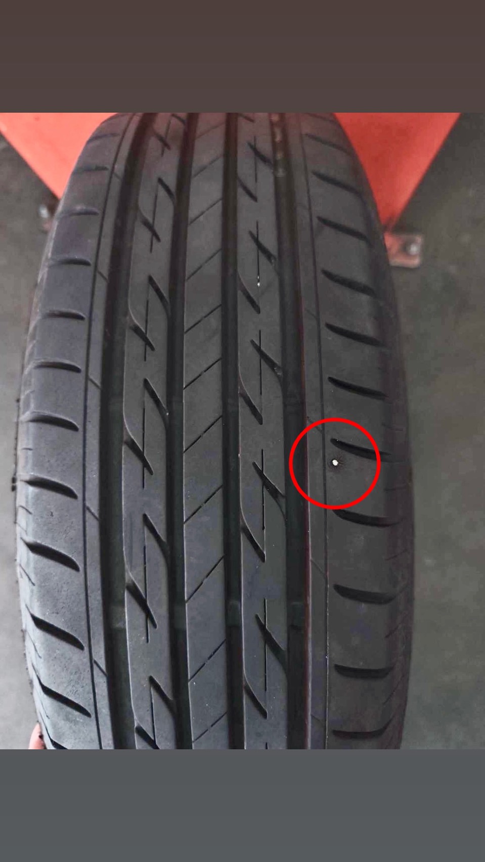 春のドライブ前にチェックしたいタイヤと車のメンテナンスポイント🚗✨