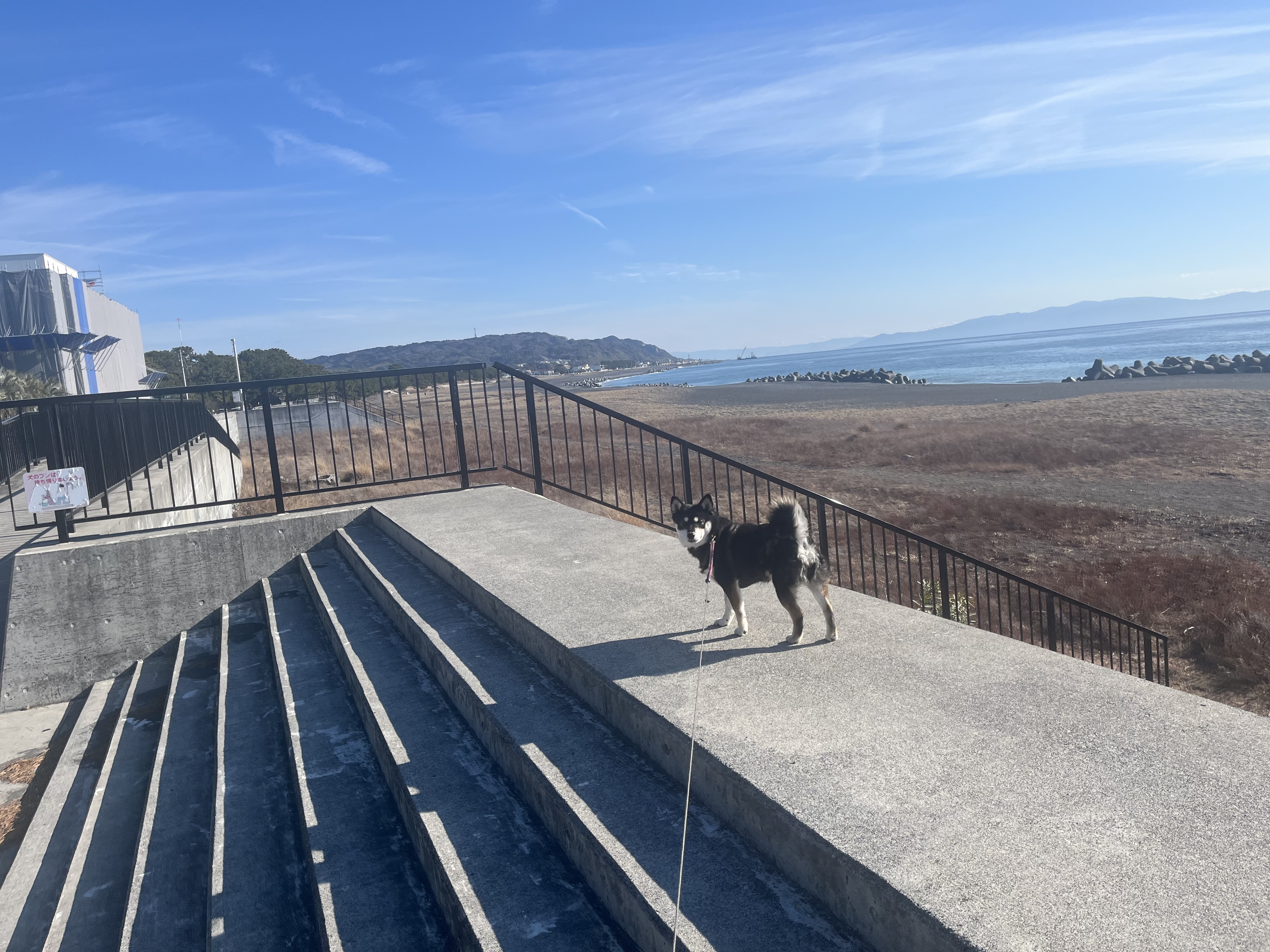 春の花粉対策と愛車ケアで快適ドライブを楽しもう🚗