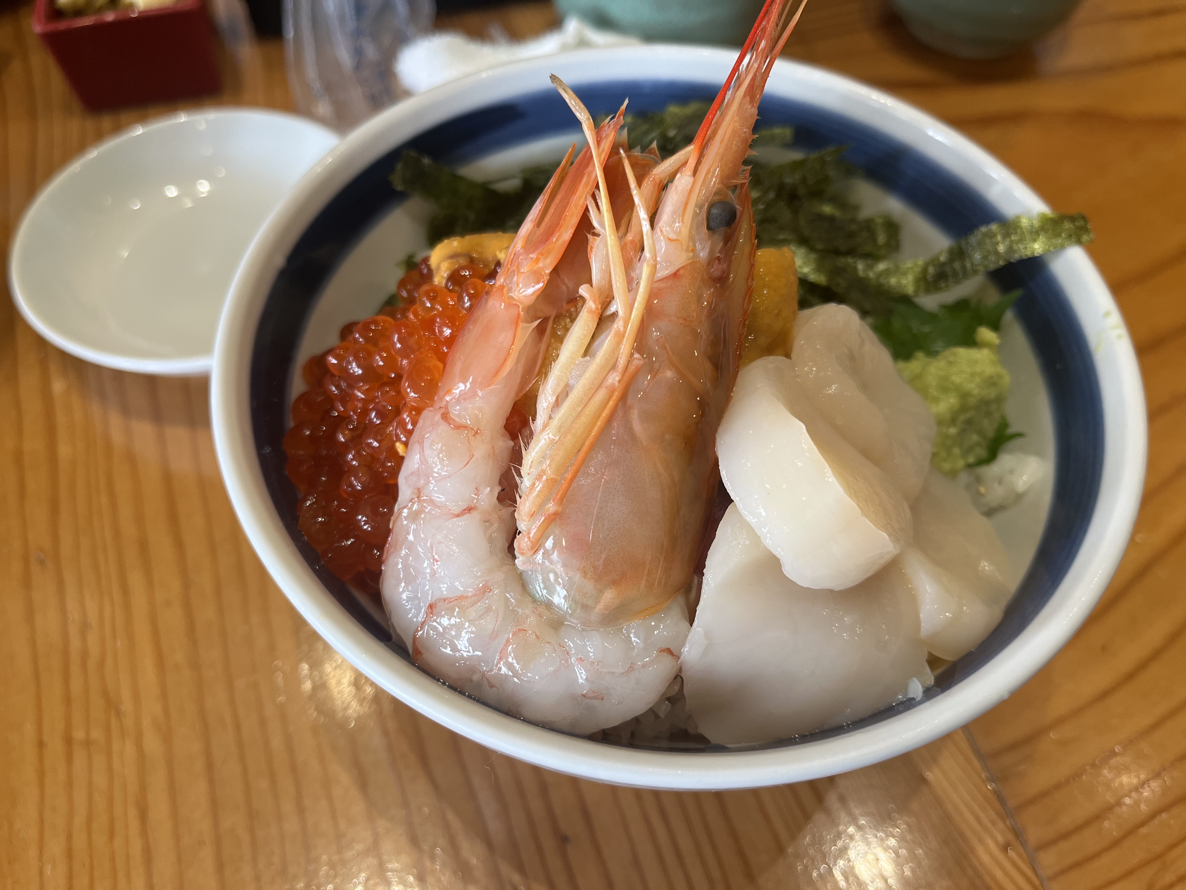 春のドライブ前におすすめ愛車コーティングと無料点検サービス🚗