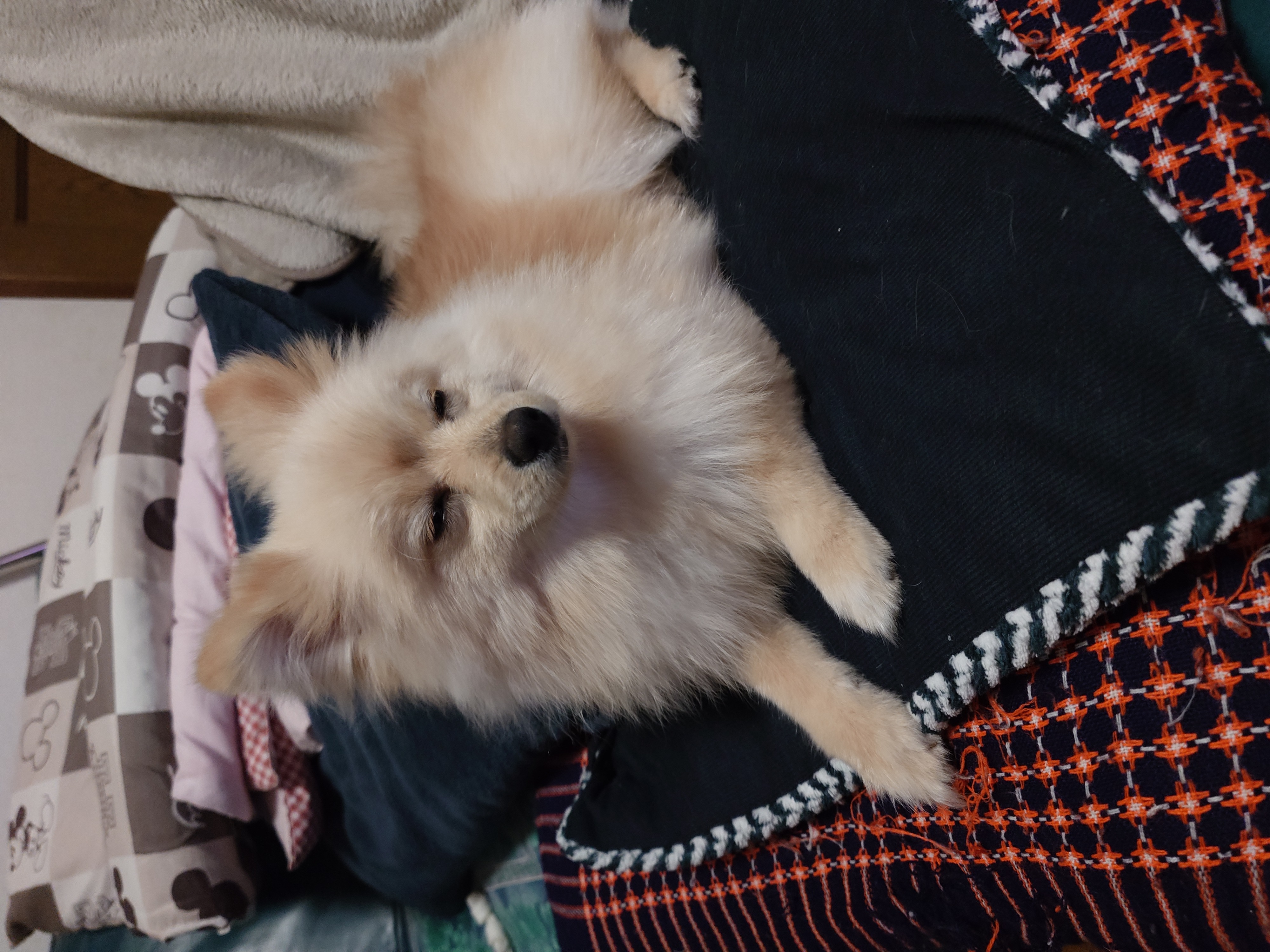 春のドライブ快適ガラス全面コーティングで視界クリアに🚗✨