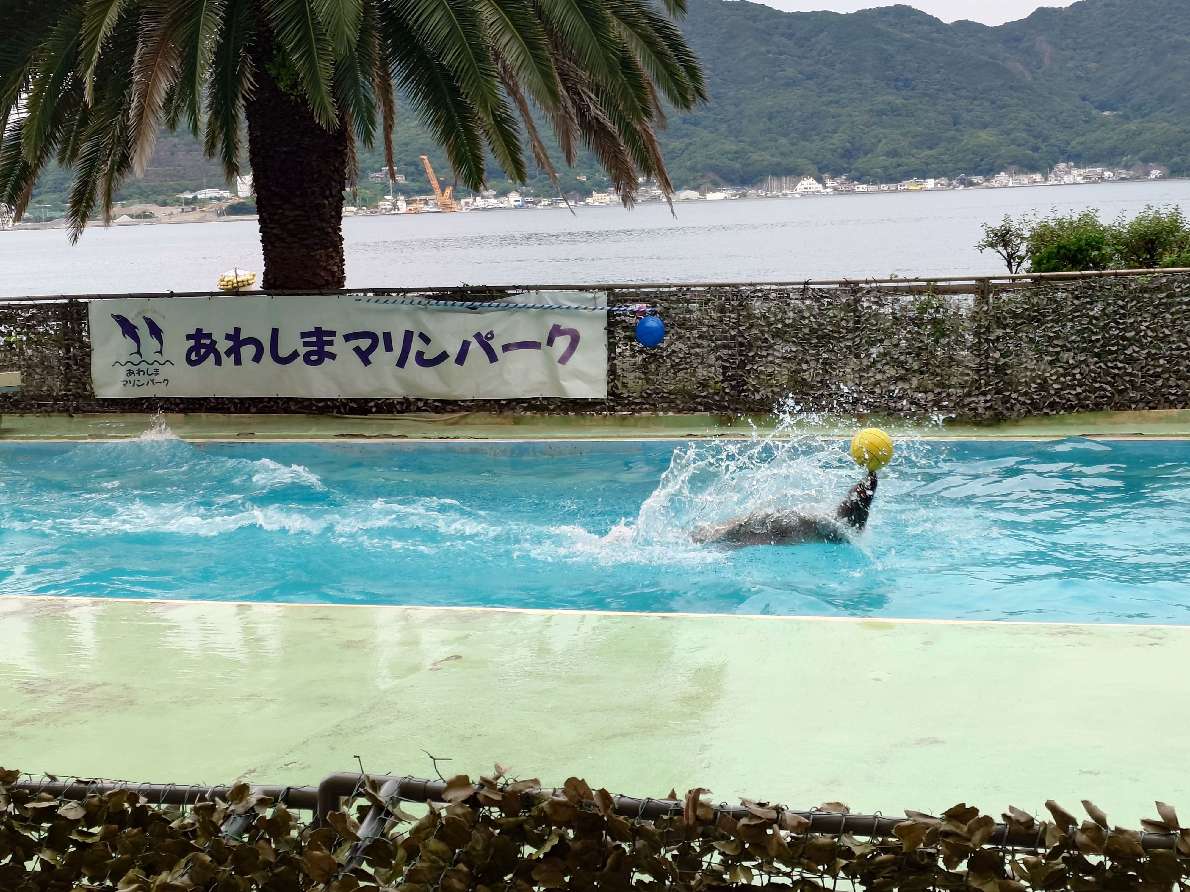 冬のカーケアポイントと洗車で愛車ピカピカにしよう🚗✨
