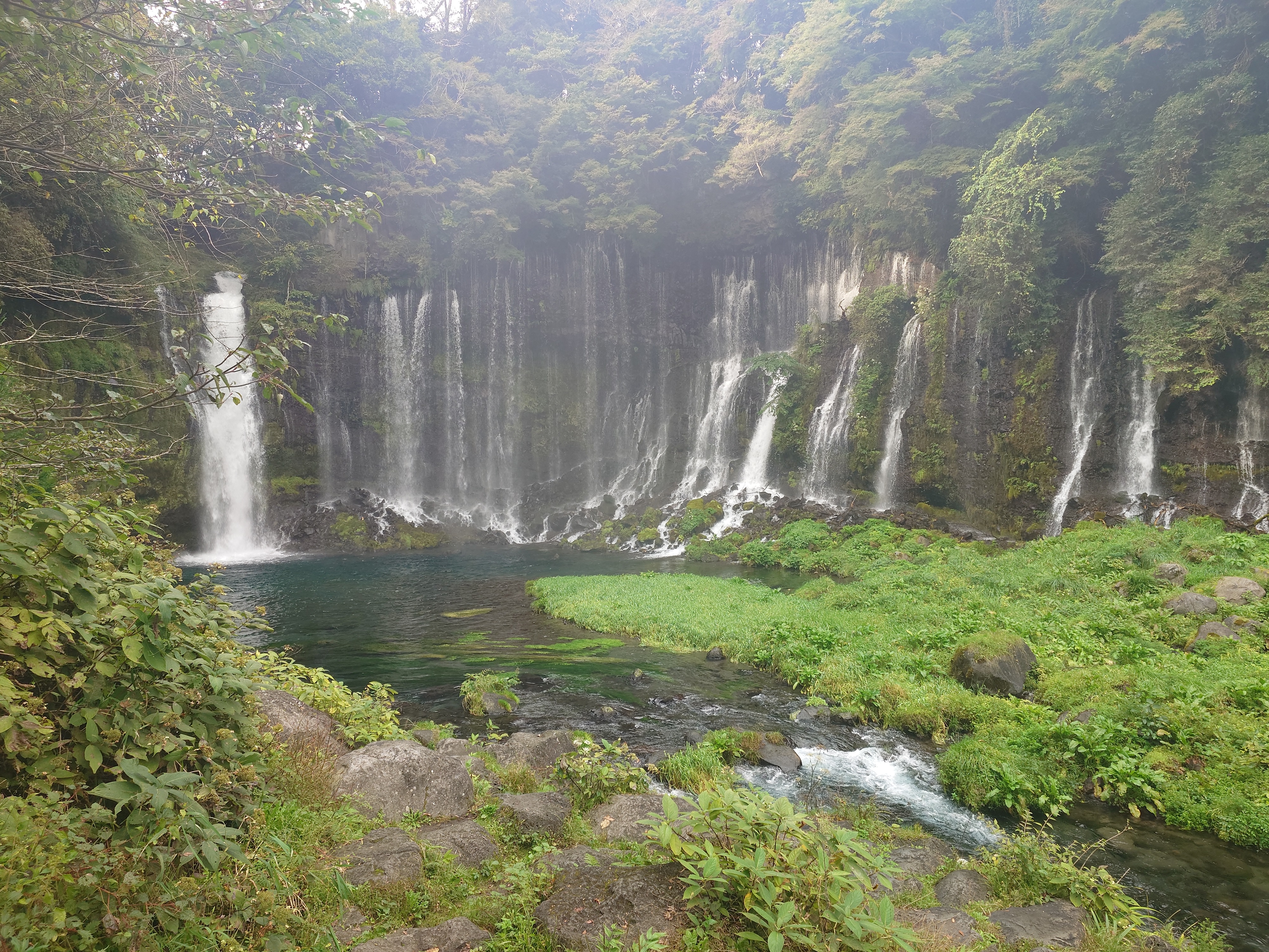 秋のドライブ前にチェックしたいワイパー交換と安全点検のポイント🚗