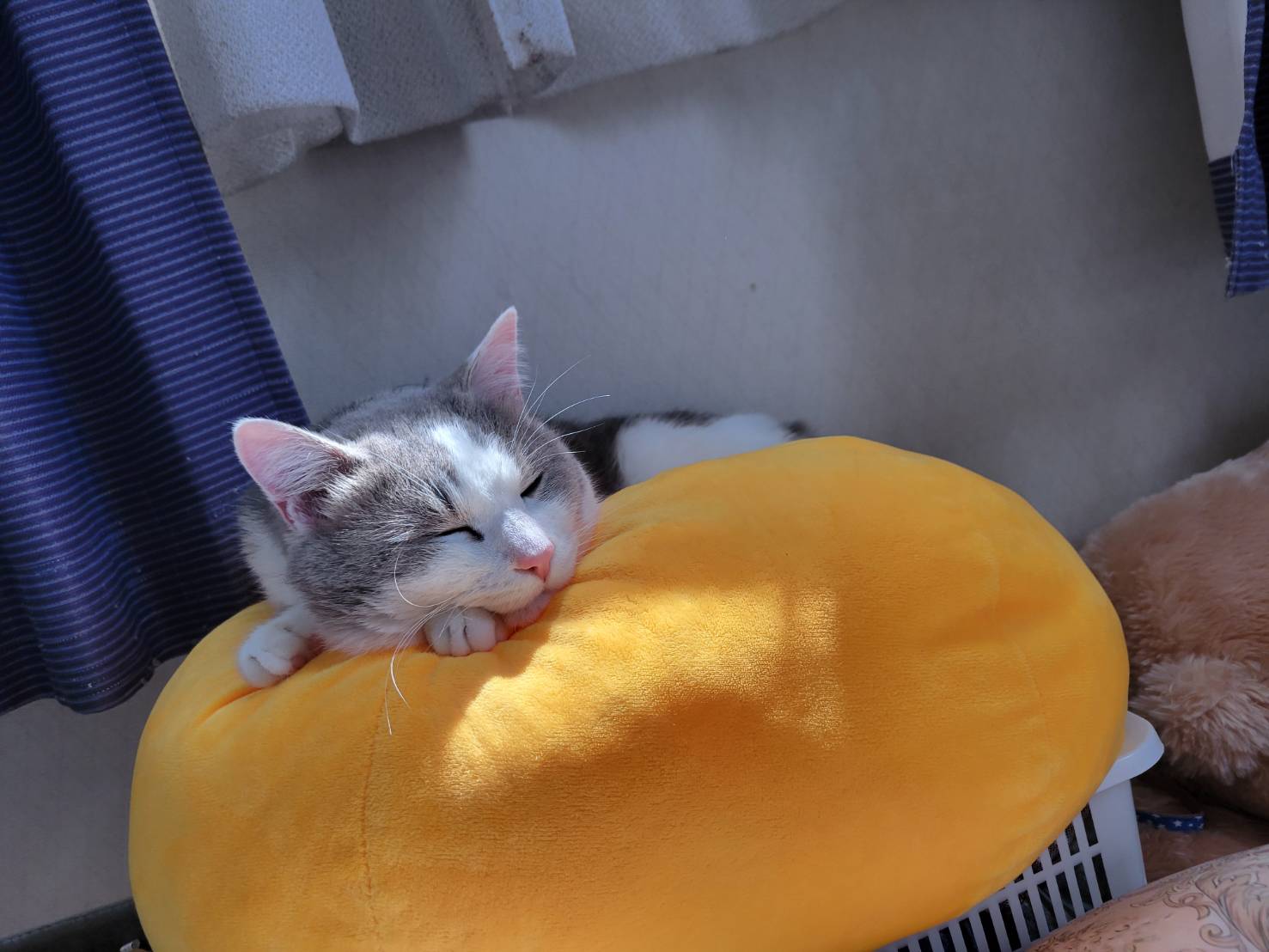 秋冬のオイル交換と点検で快適ドライブをサポート🚗✨