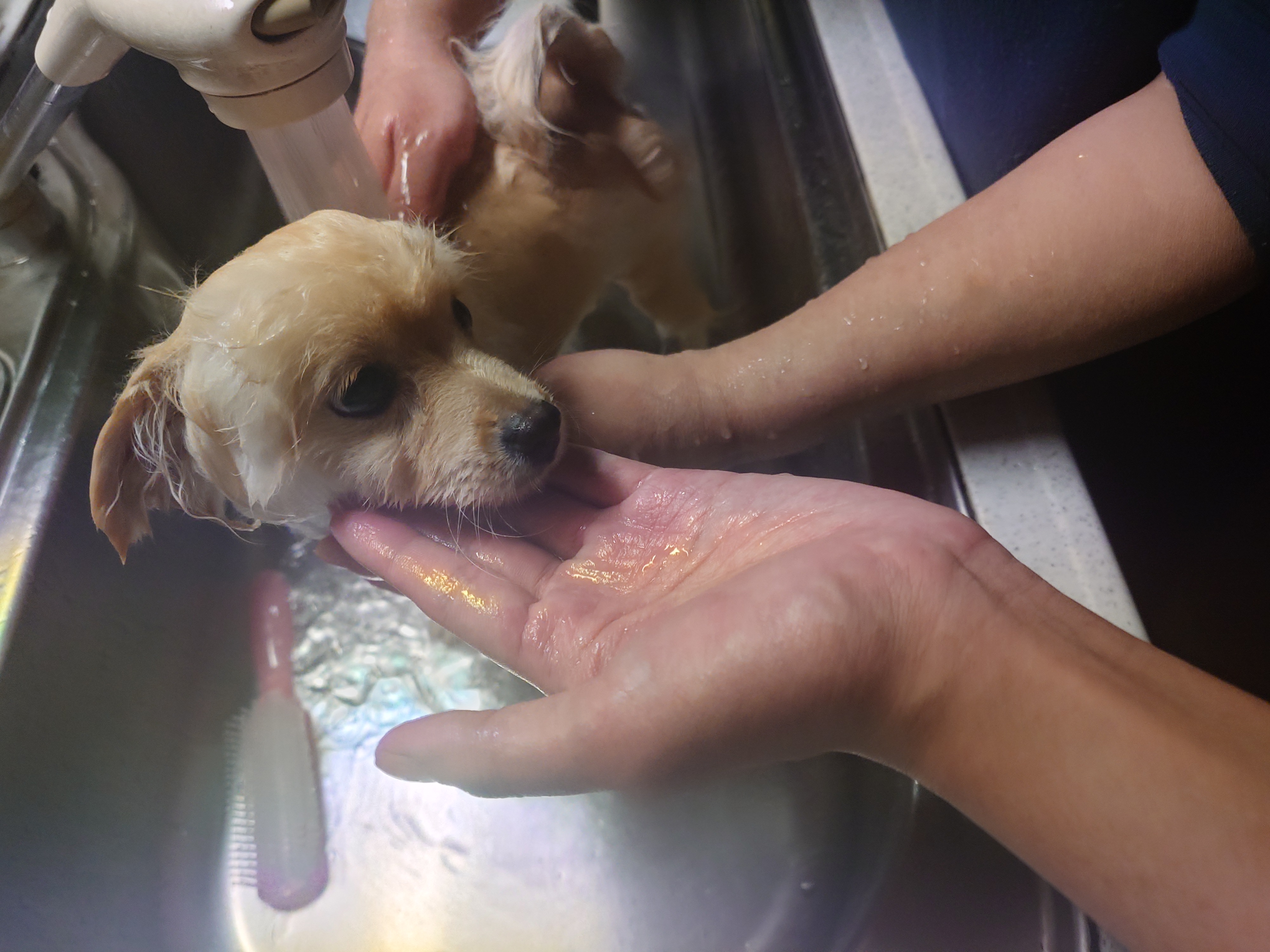 春の愛車ケアは手洗い洗車と点検で安心ドライブを🚗✨