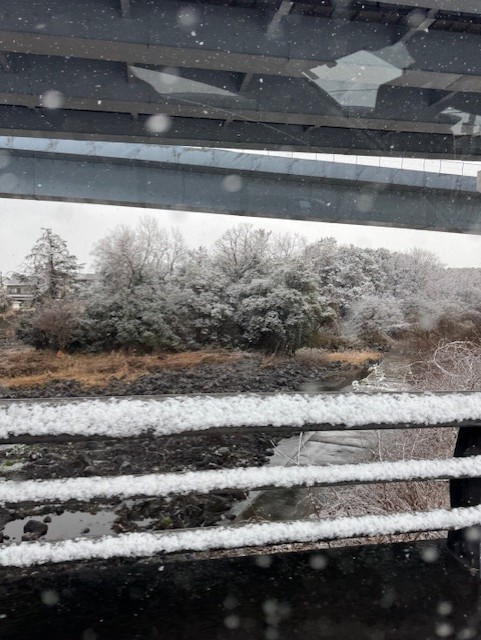 いつのことでしょう