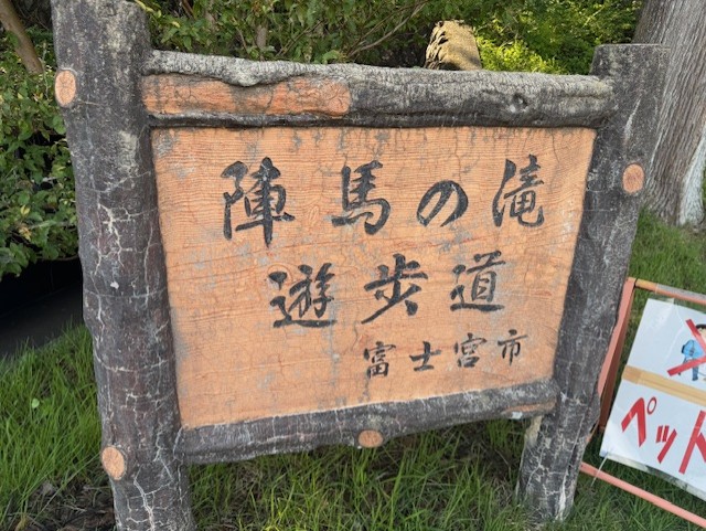 涼を求めて