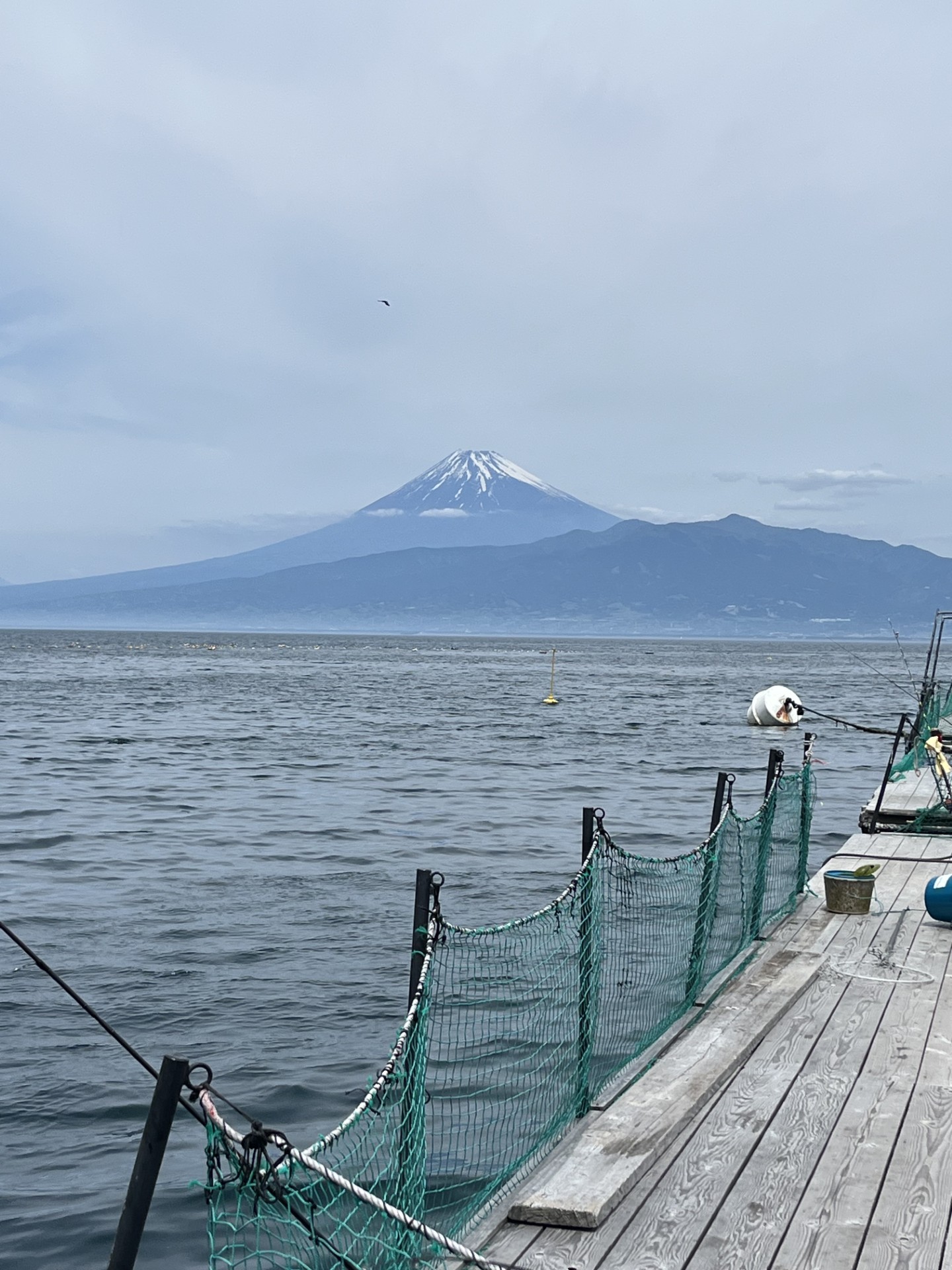 海上釣り堀！