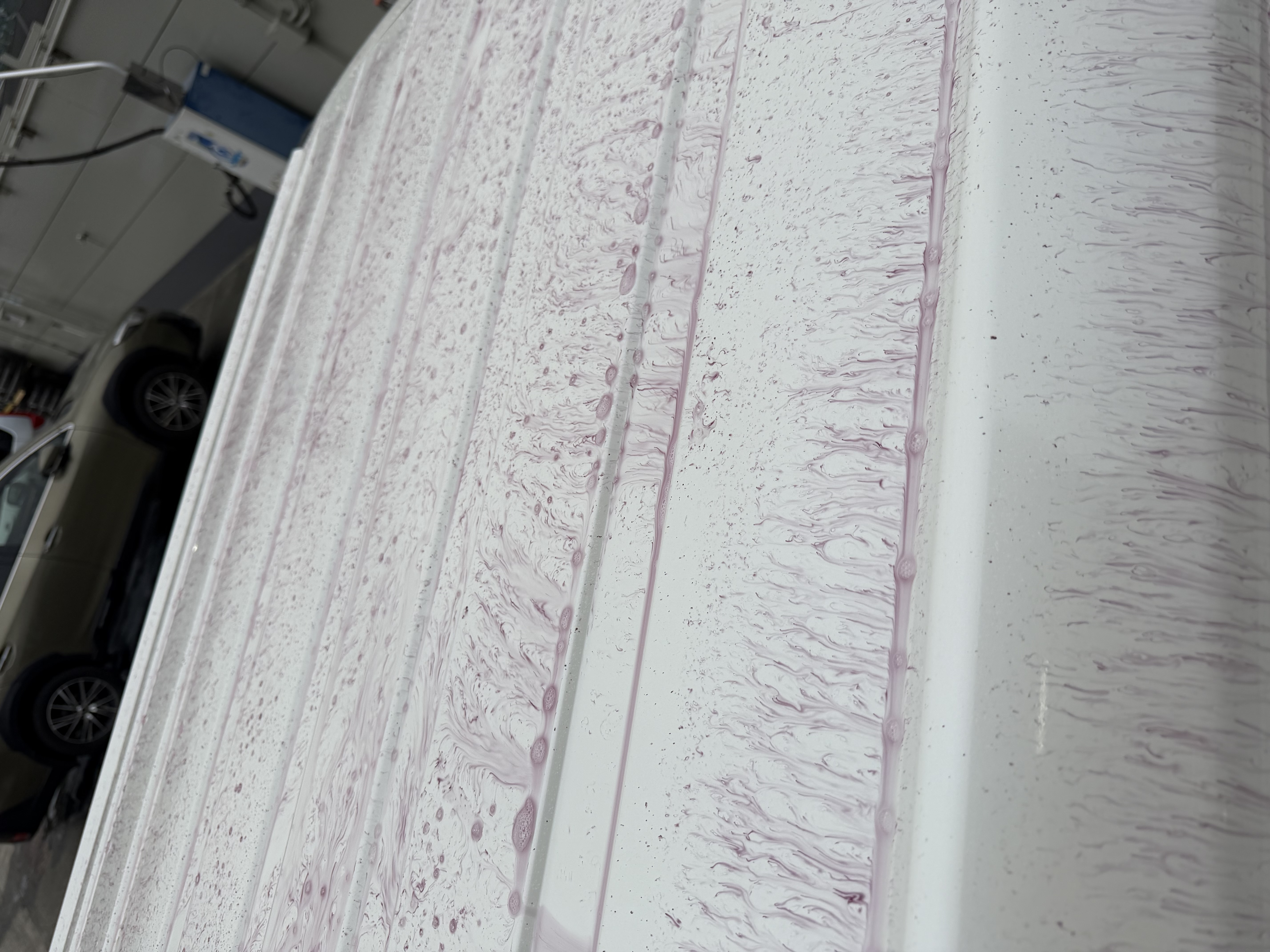 春の車メンテナンス必見！清水インター下りTSの安心ケア🚗