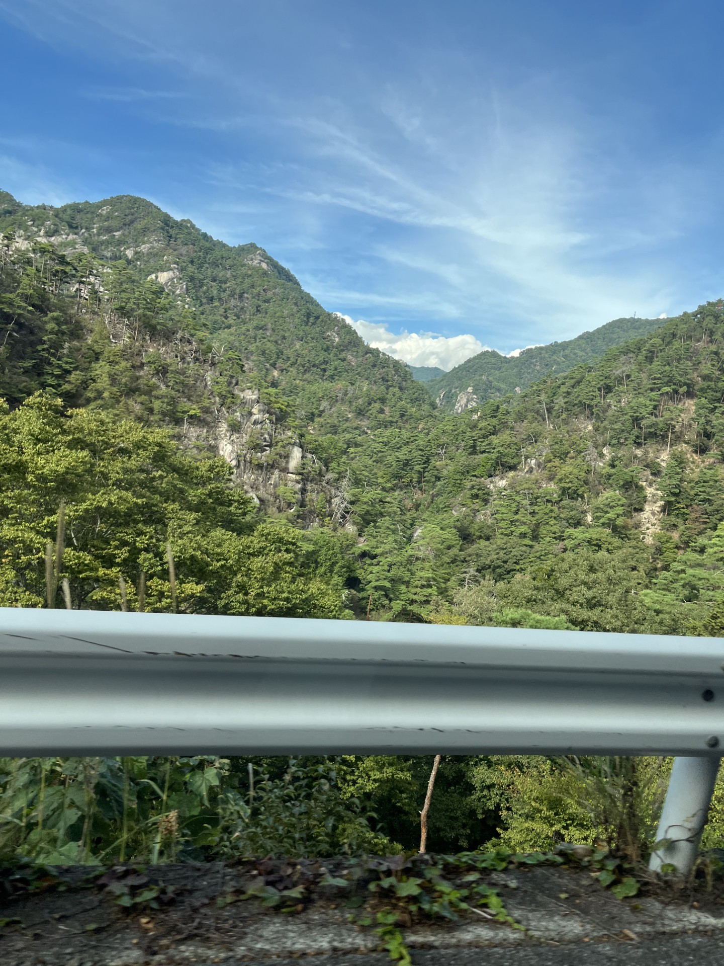 冬の愛車メンテ術 下廻り防錆とお得なタイヤ交換情報🚗