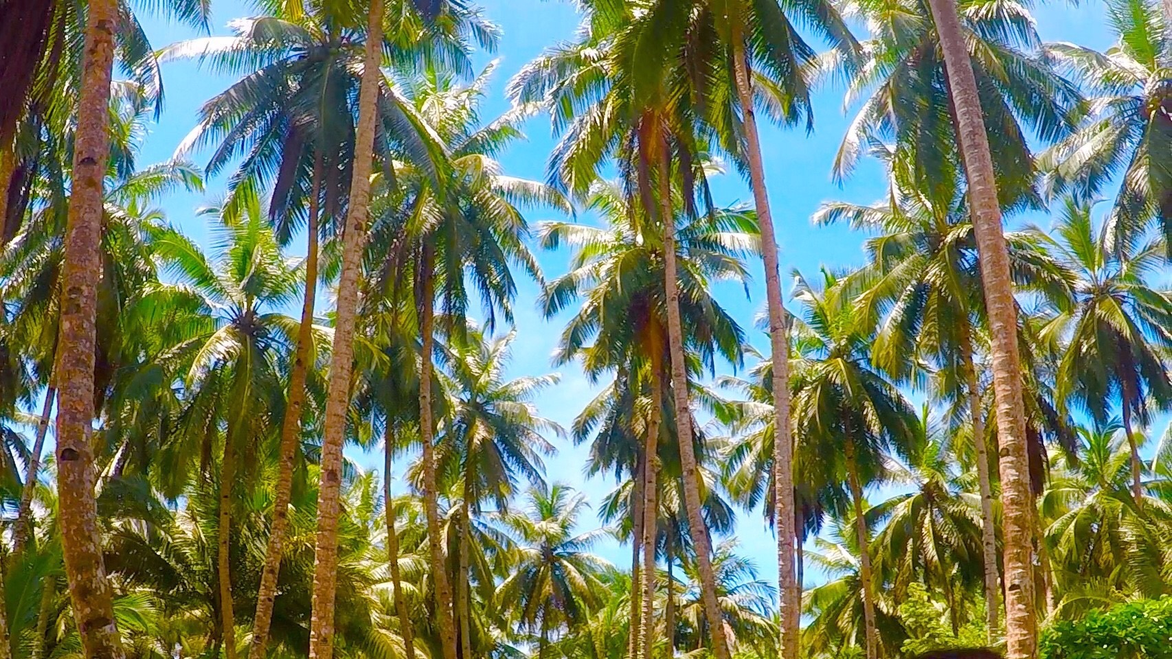 冬の安心ドライブに必須 タイヤ点検と無料チェックのススメ🚗