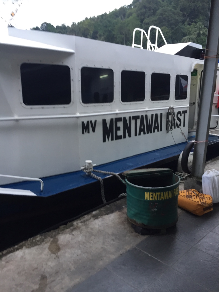 冬の安全運転に必須のタイヤ点検と交換ポイント🚗